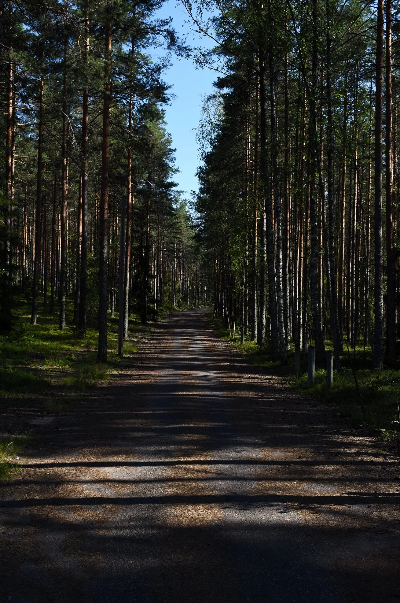 DSC_0386 working.jpg