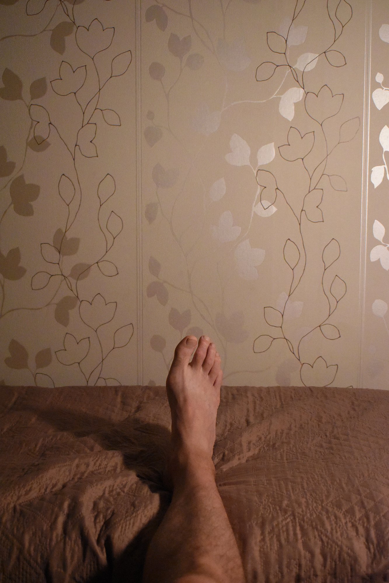 DSC_0464 working.jpg