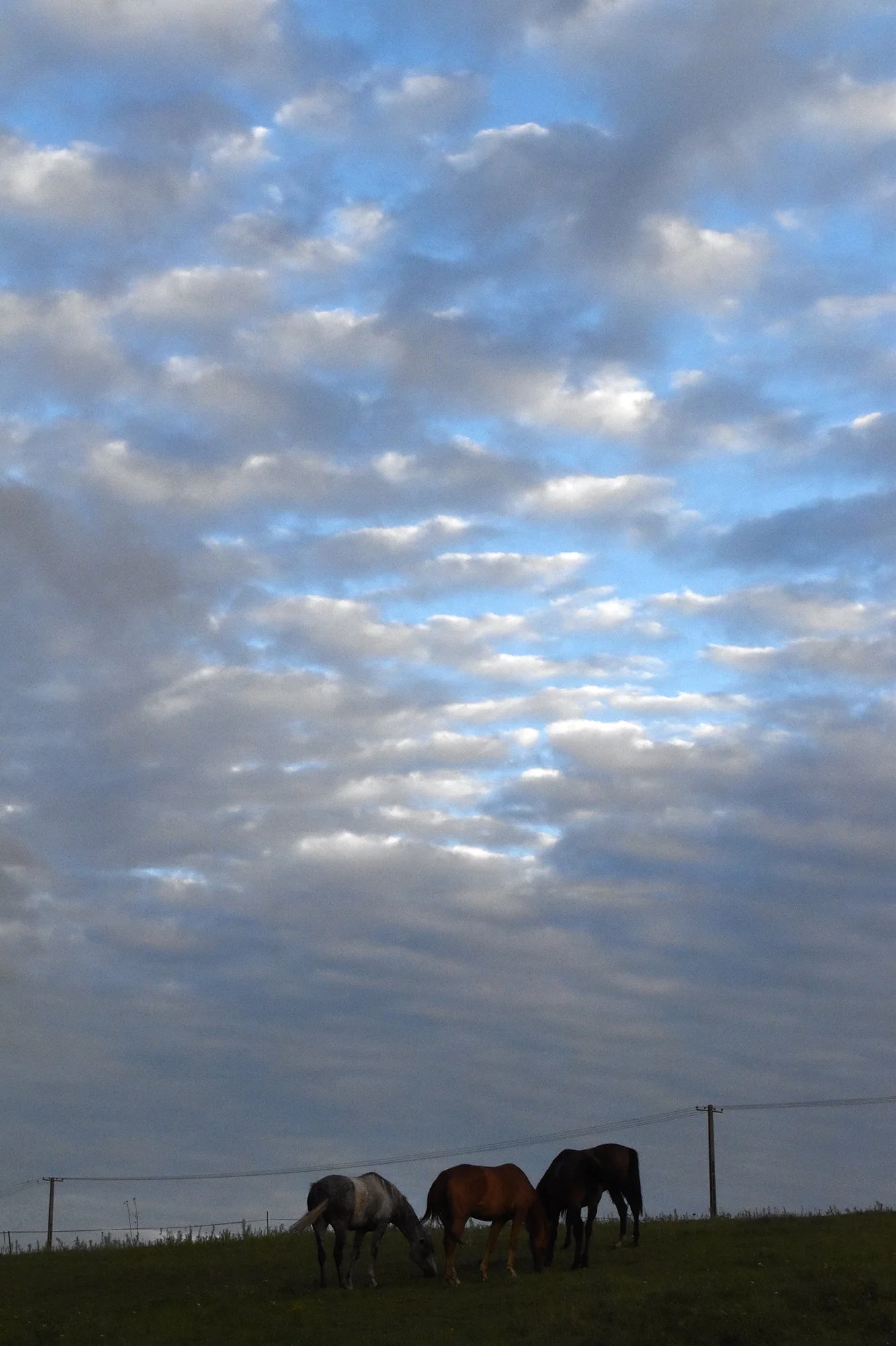 DSC_0522  working.jpg