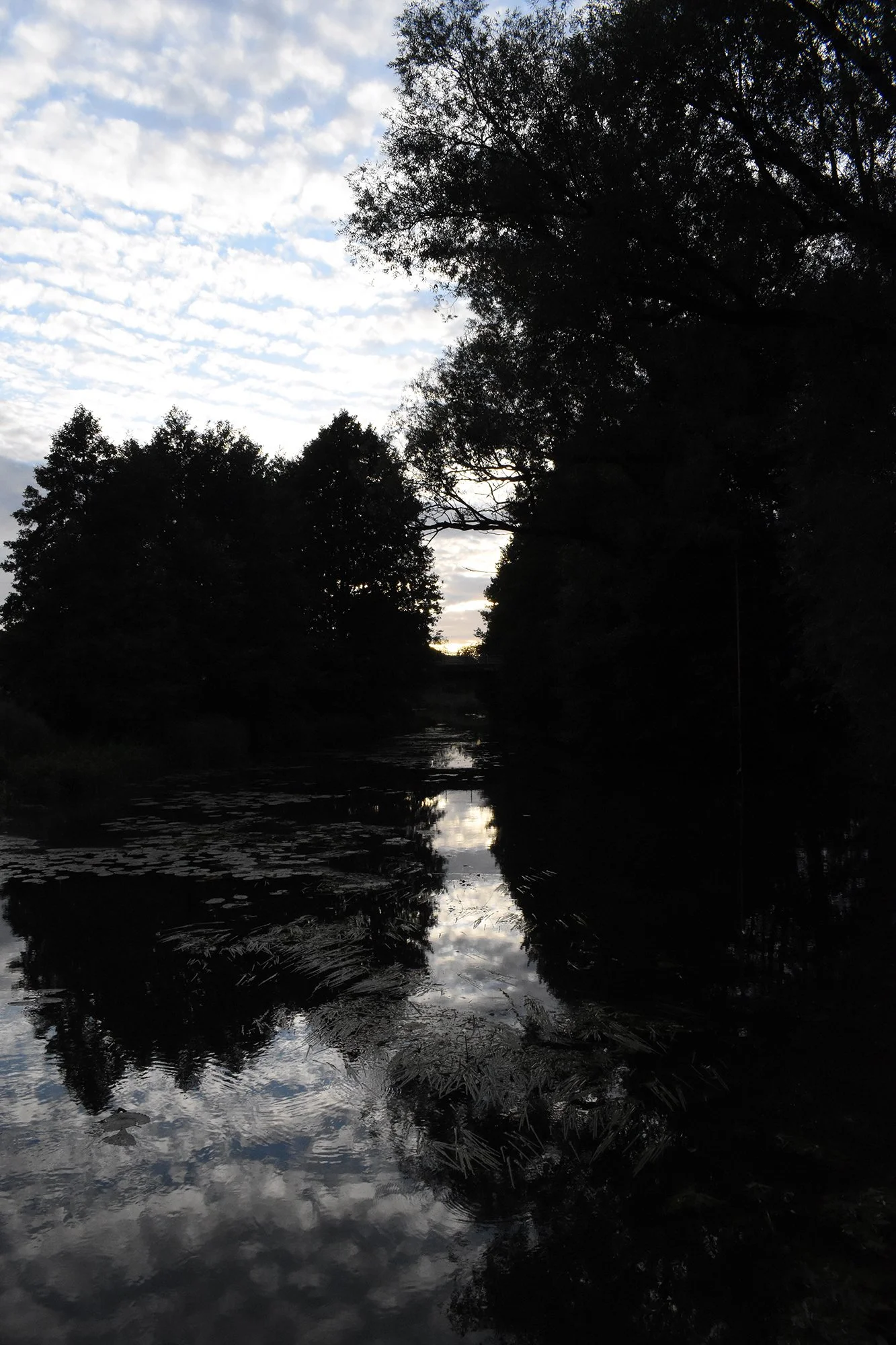 DSC_0527 working.jpg