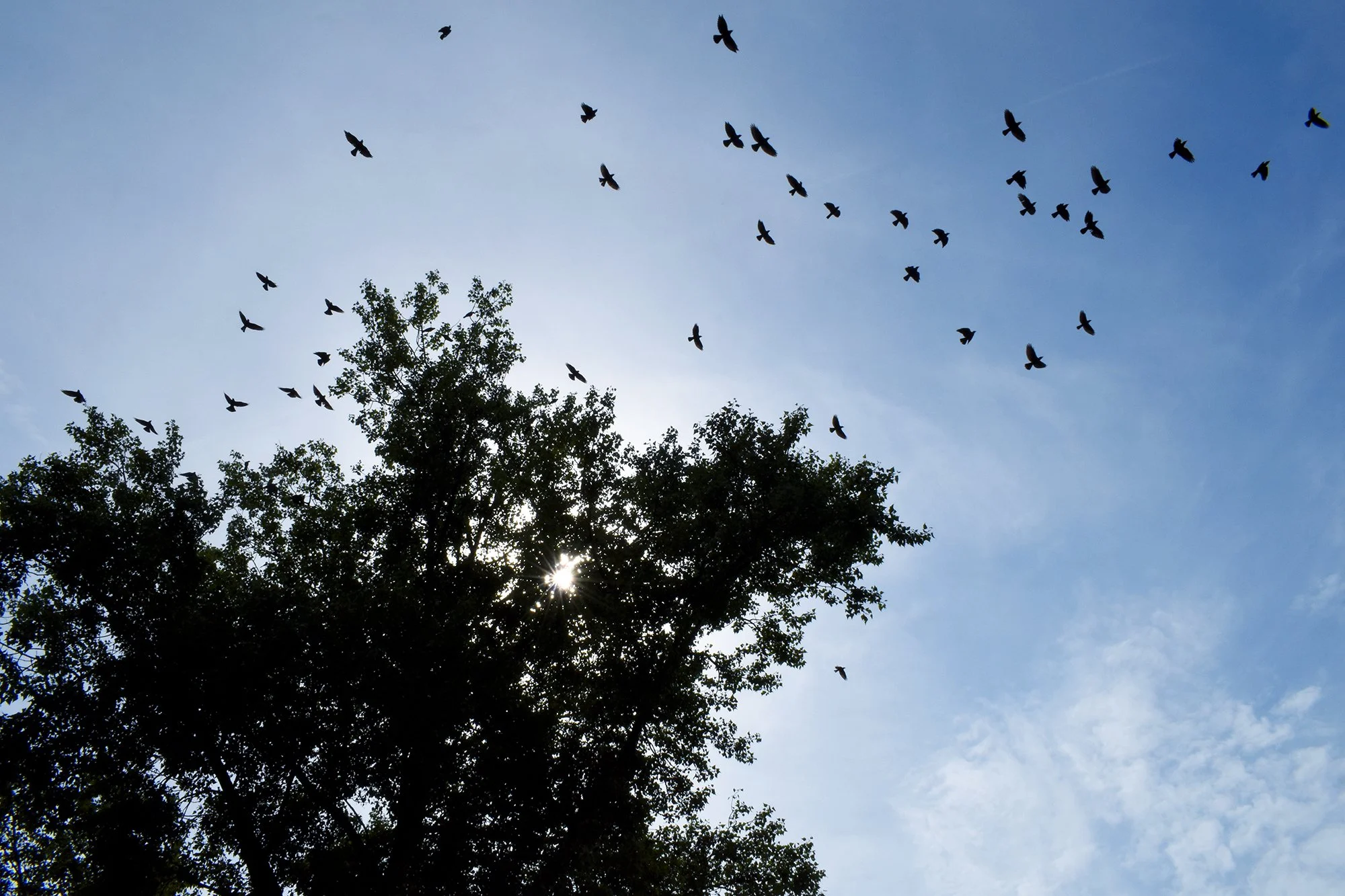 DSC_0701 working.jpg