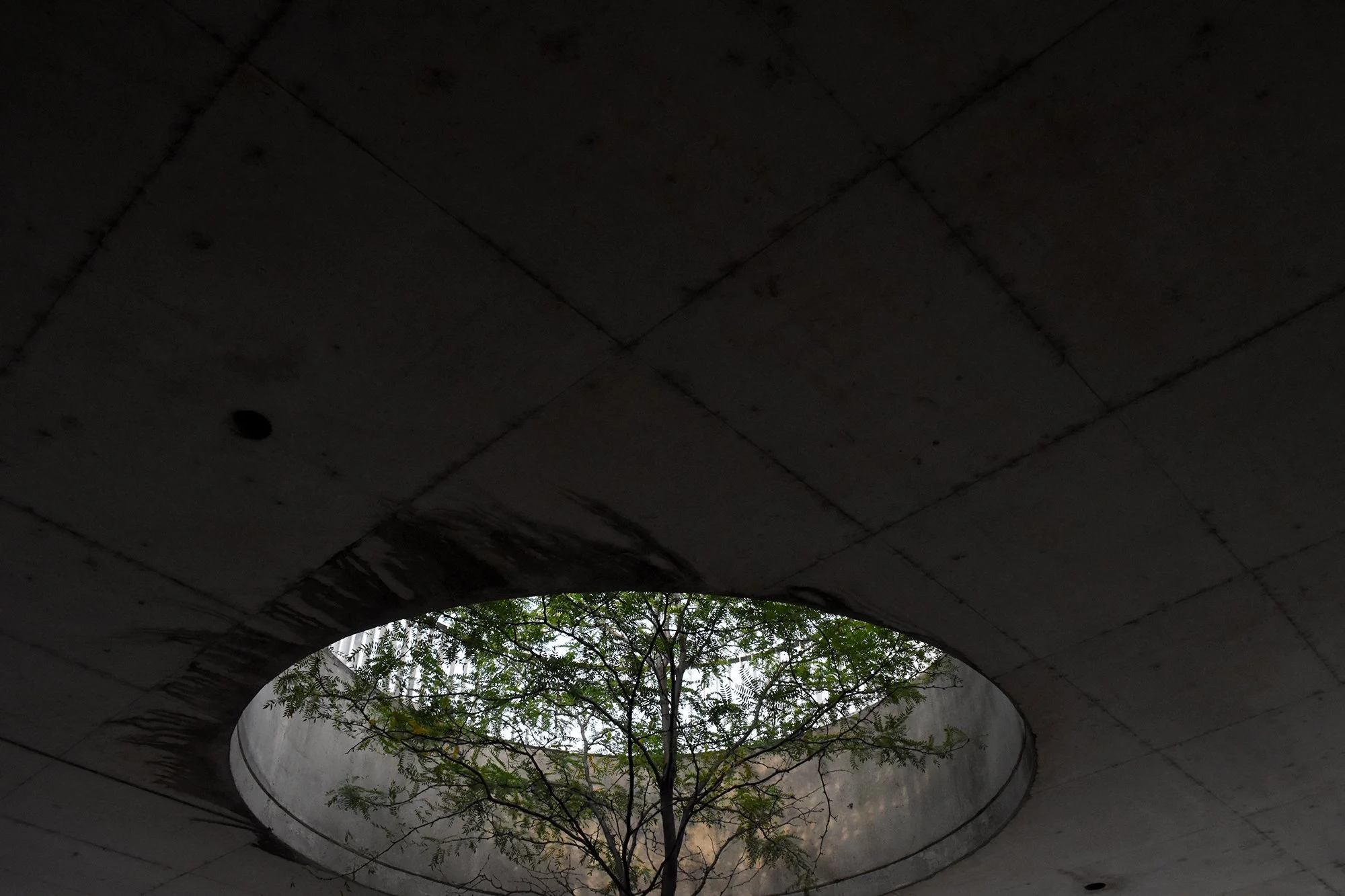 DSC_0841 working.jpg