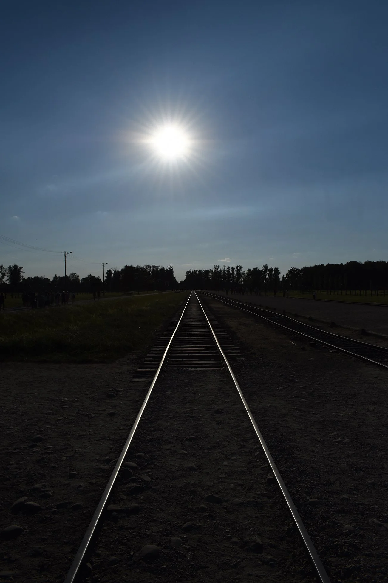 DSC_0640 C2 working.jpg