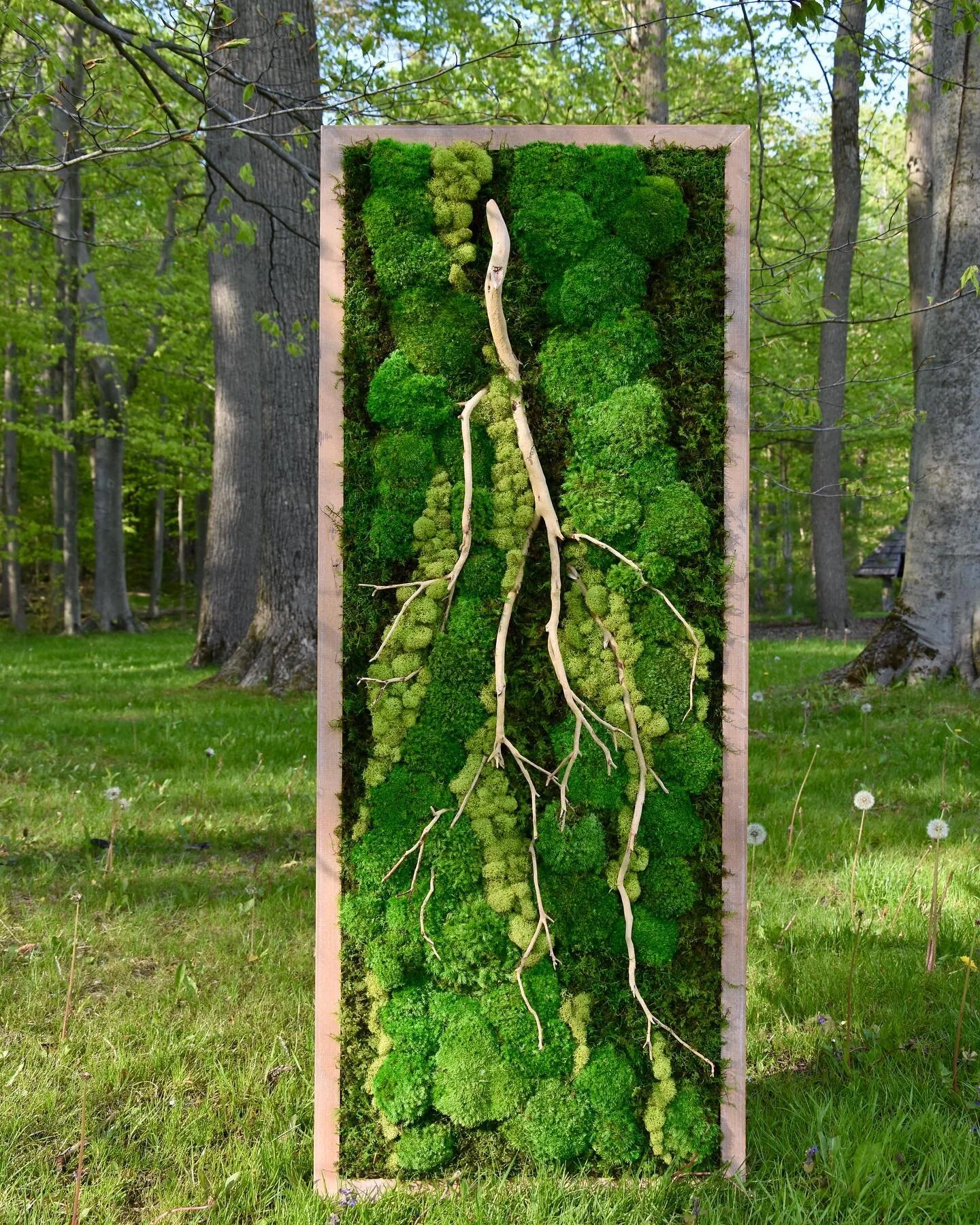 Spring green branch🌱🌱🌱 Let me tell you what I love about nature and how the changing seasons inspire me. But... how much time do you have? 😂 #nature #moss #mossart #mosswall #mossdesign #floralstudio #creating #design #ecofriendly #ecodesign #nat