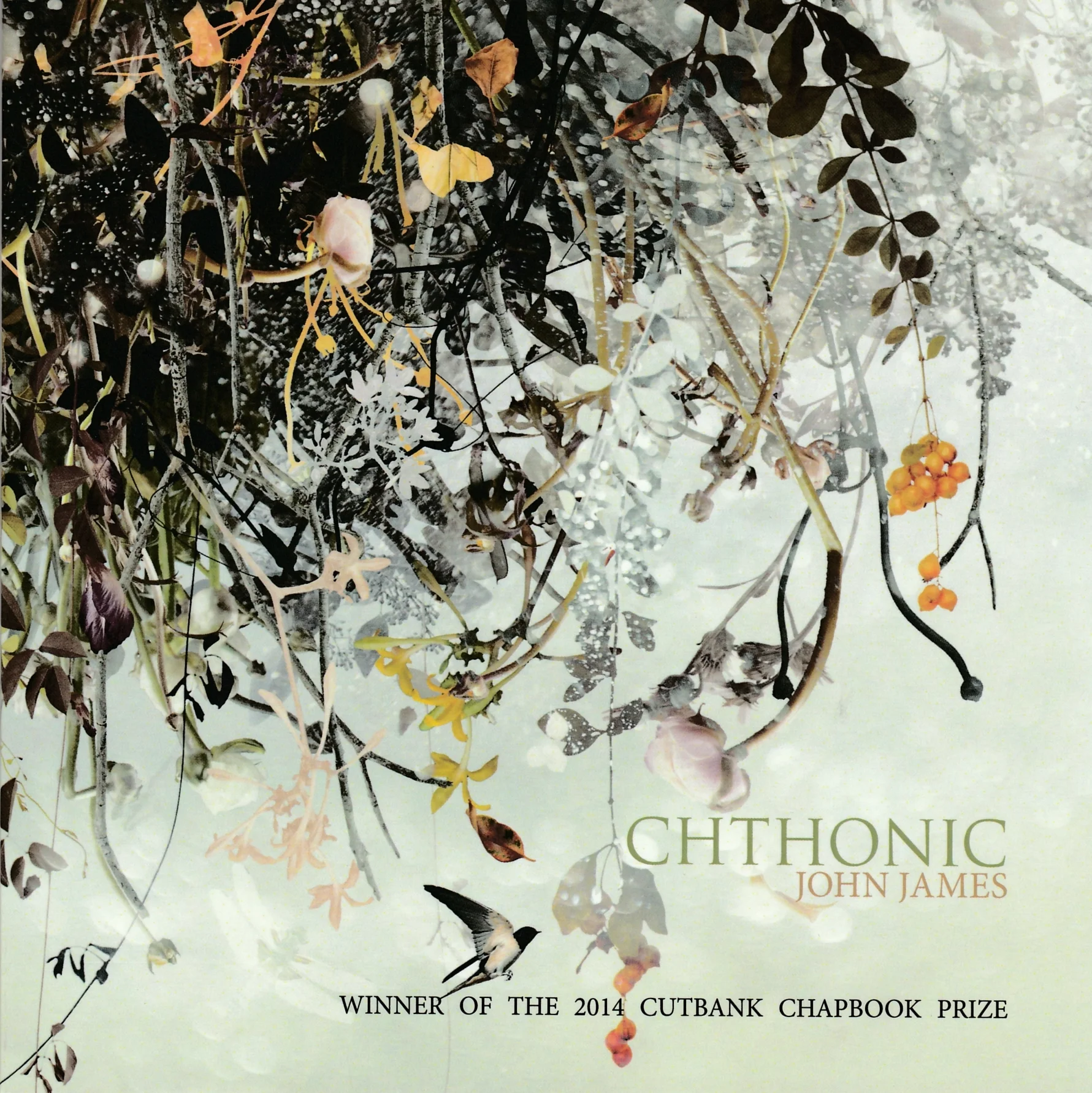 cthonic cover_0001.jpg