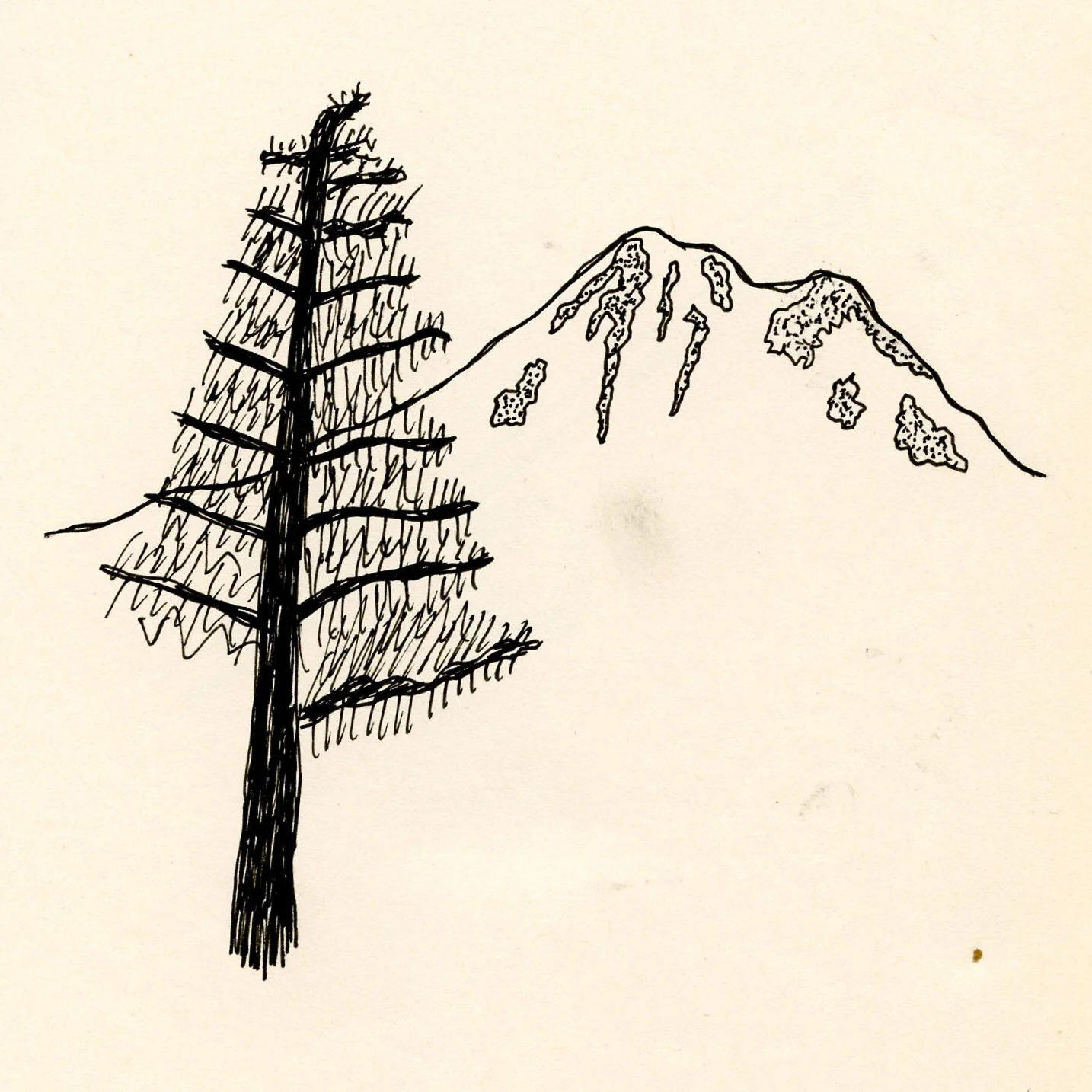 All Accounts Cutbank Literary Magazine