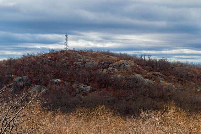 Fire Tower