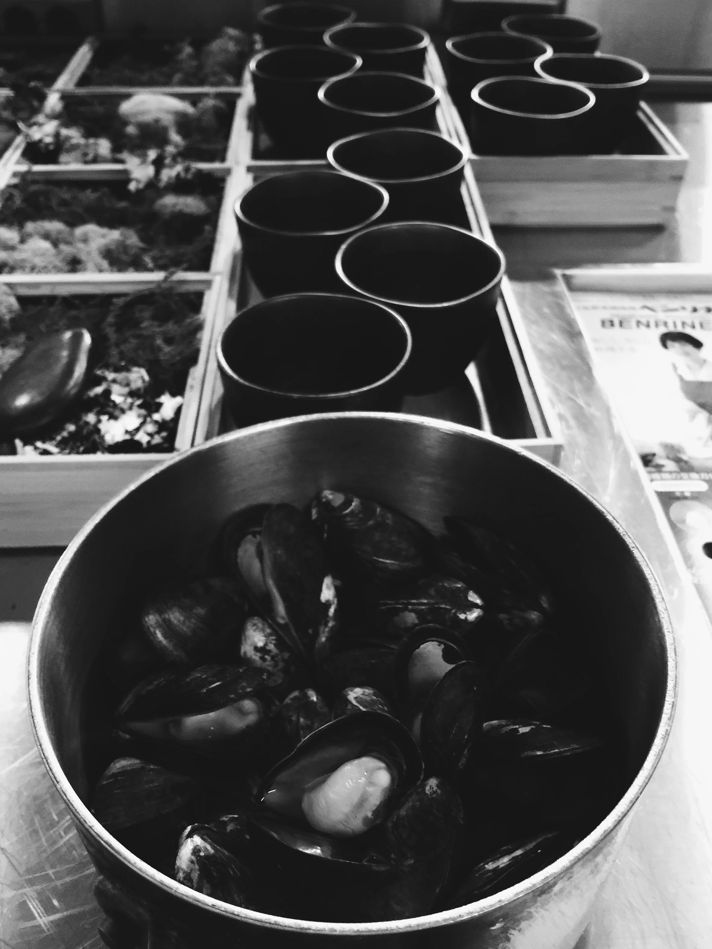 Black and White Oysters.jpeg