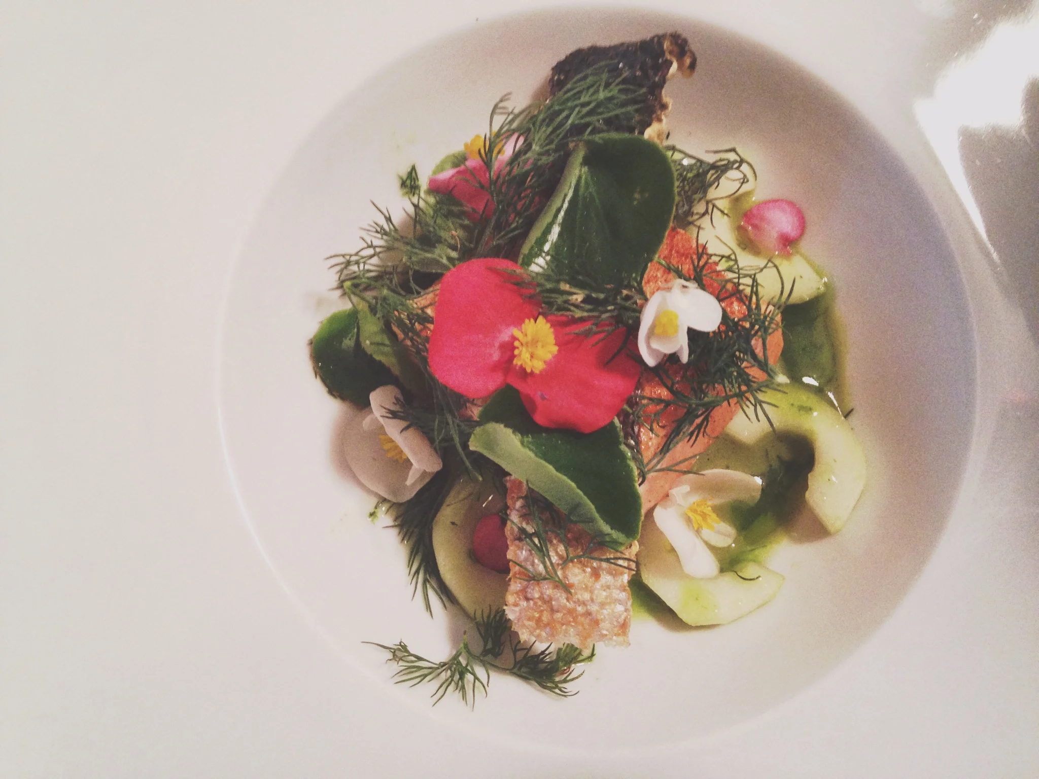 Salmon Filtered.jpg