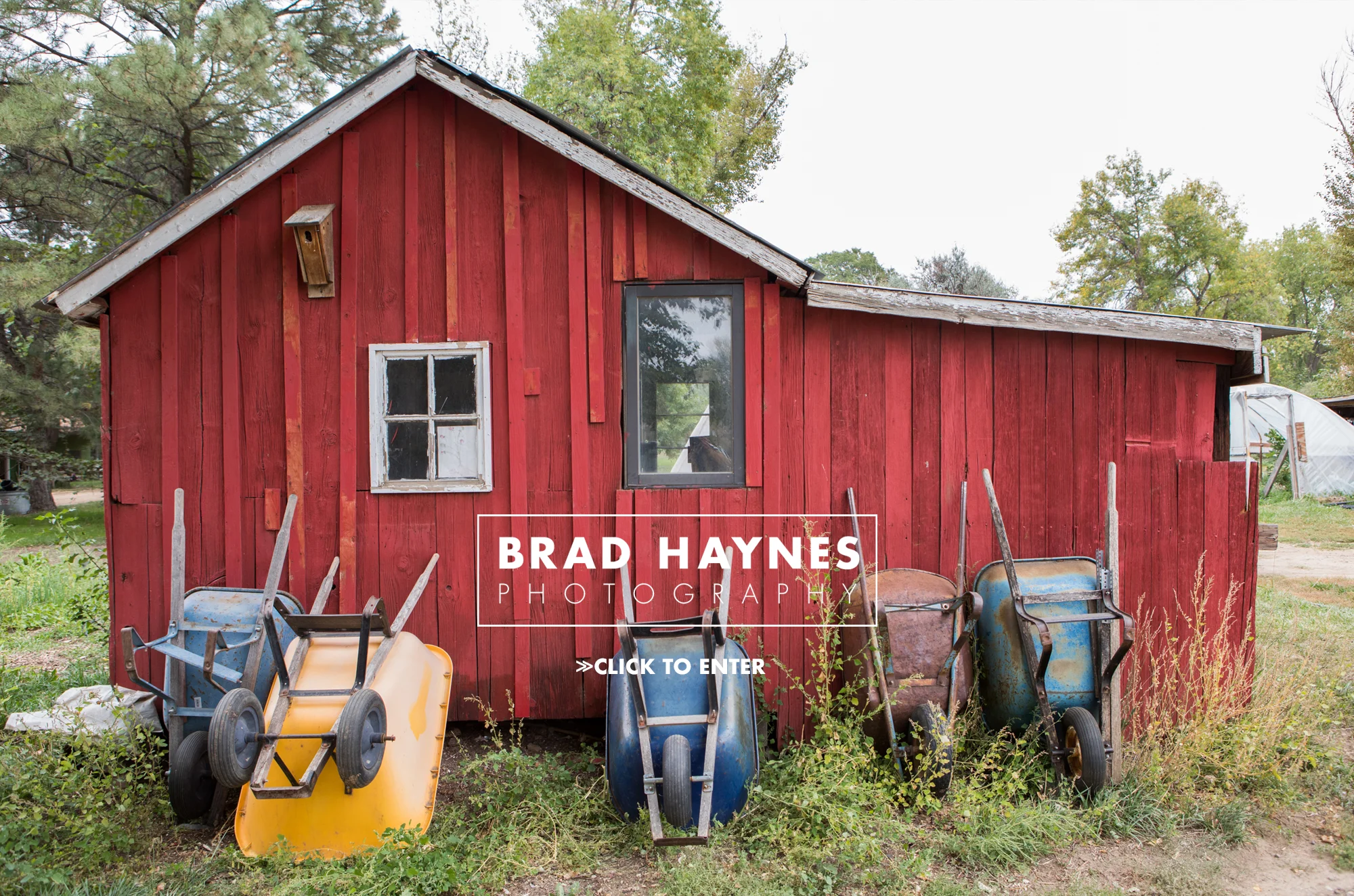 barn.jpg