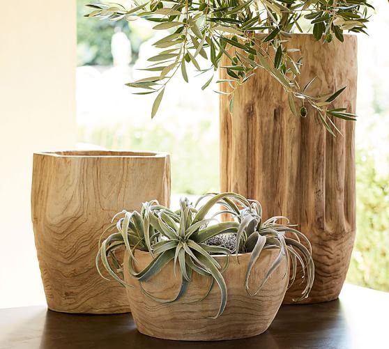 Pawlonia Wood Vases