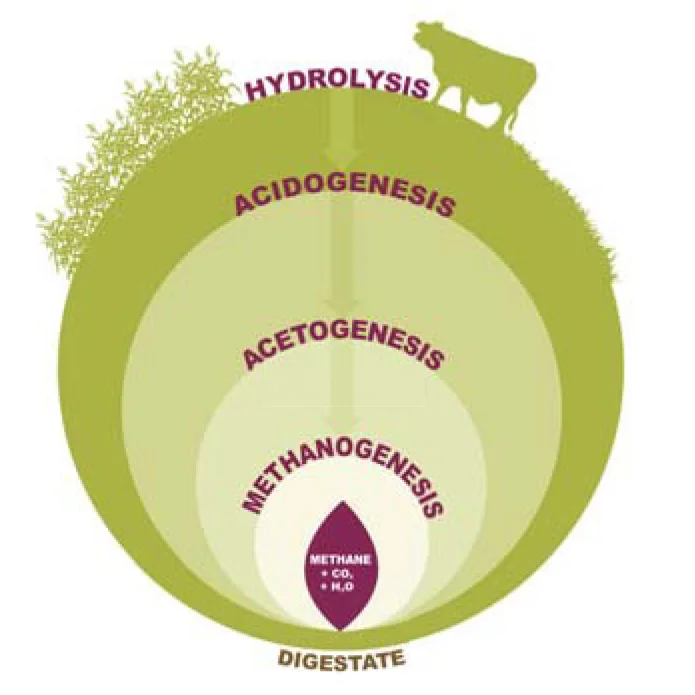 Anaerobic Digestion_thumb.jpg
