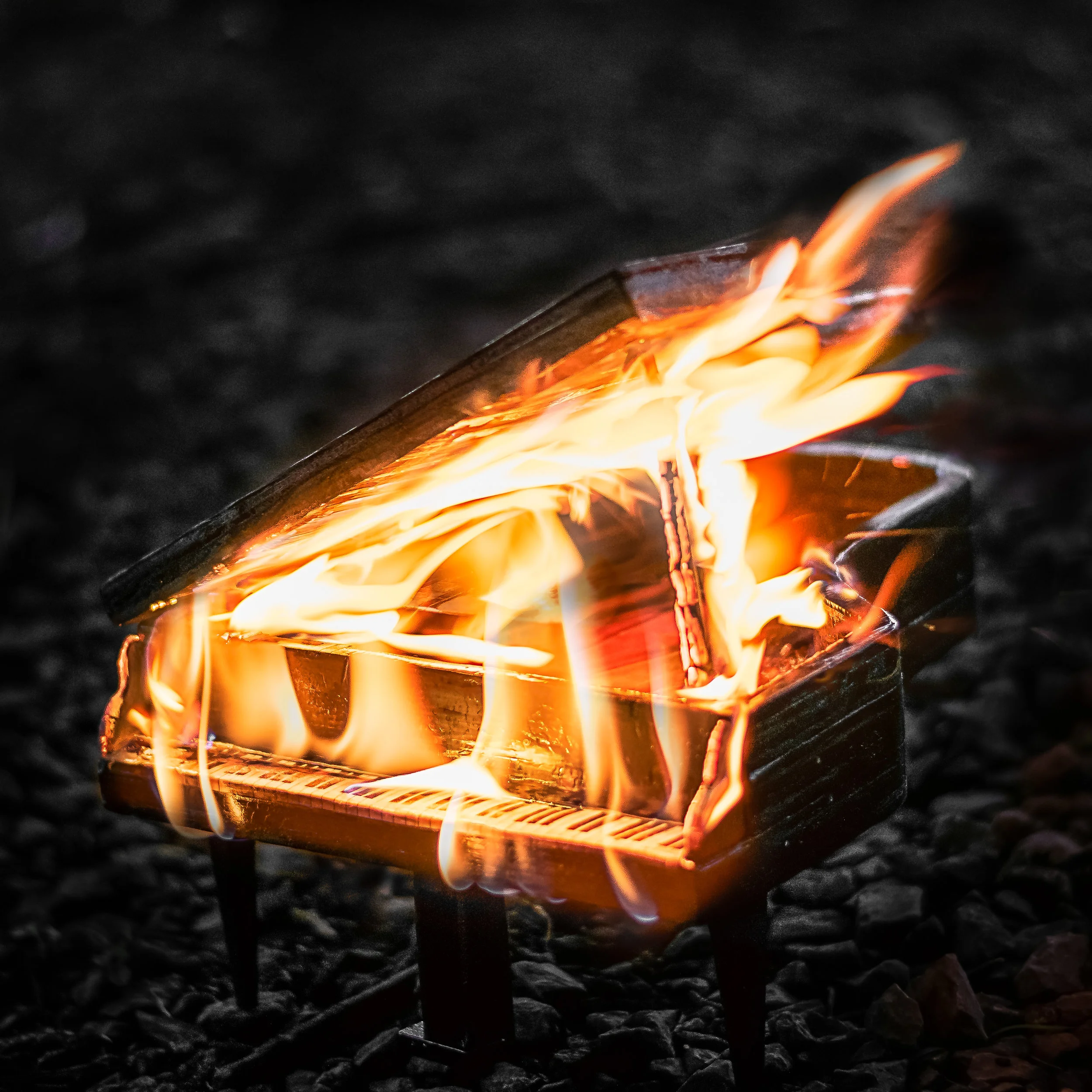 Dan Robidoux - Sept 8 2017-89.jpg