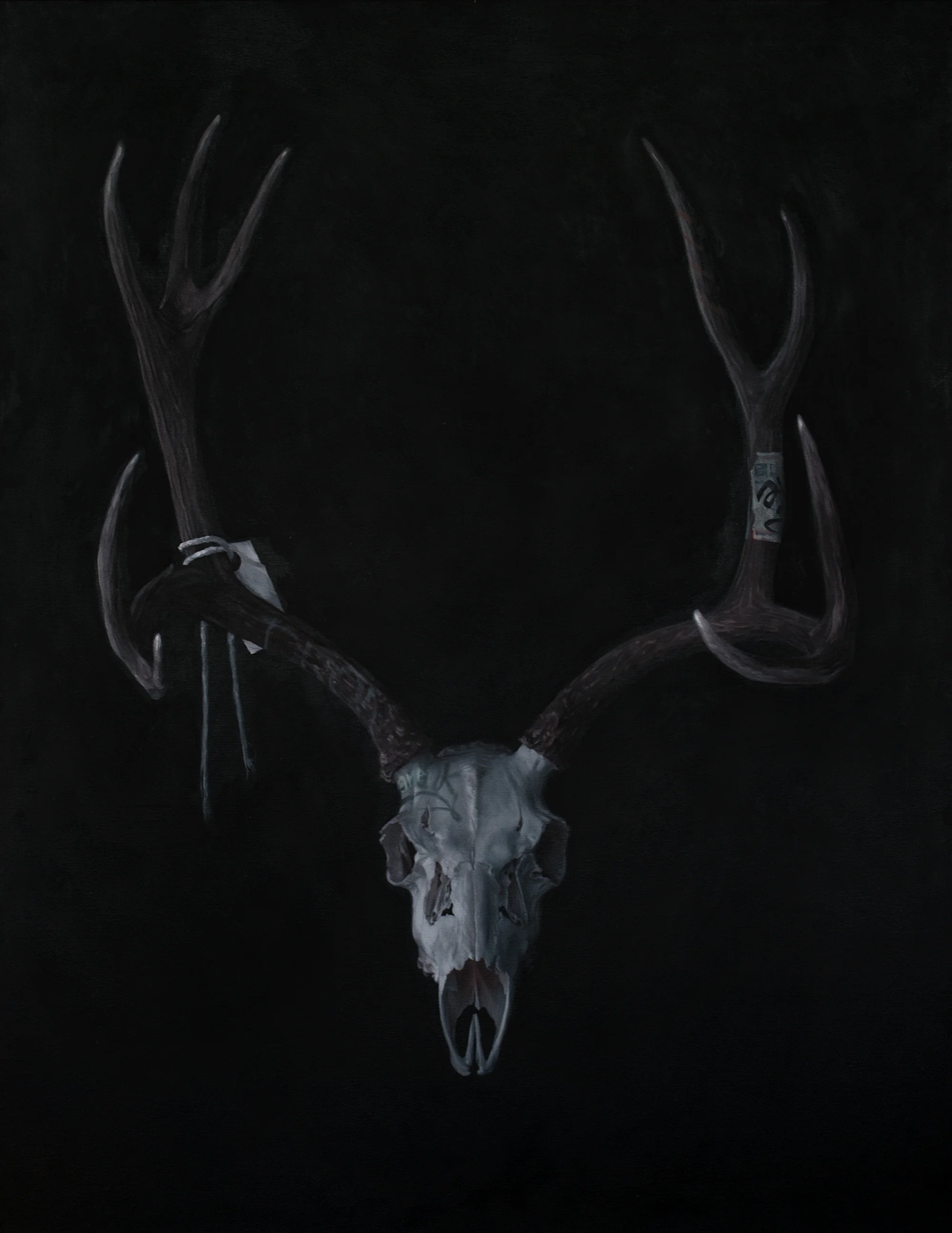 preview-deerskull-pecora.jpg