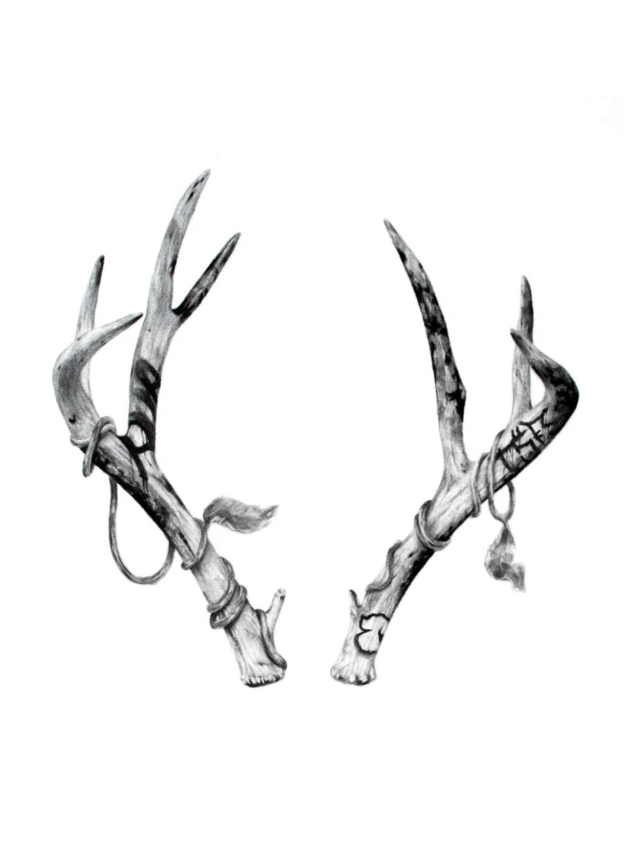 antlers-sml.jpg