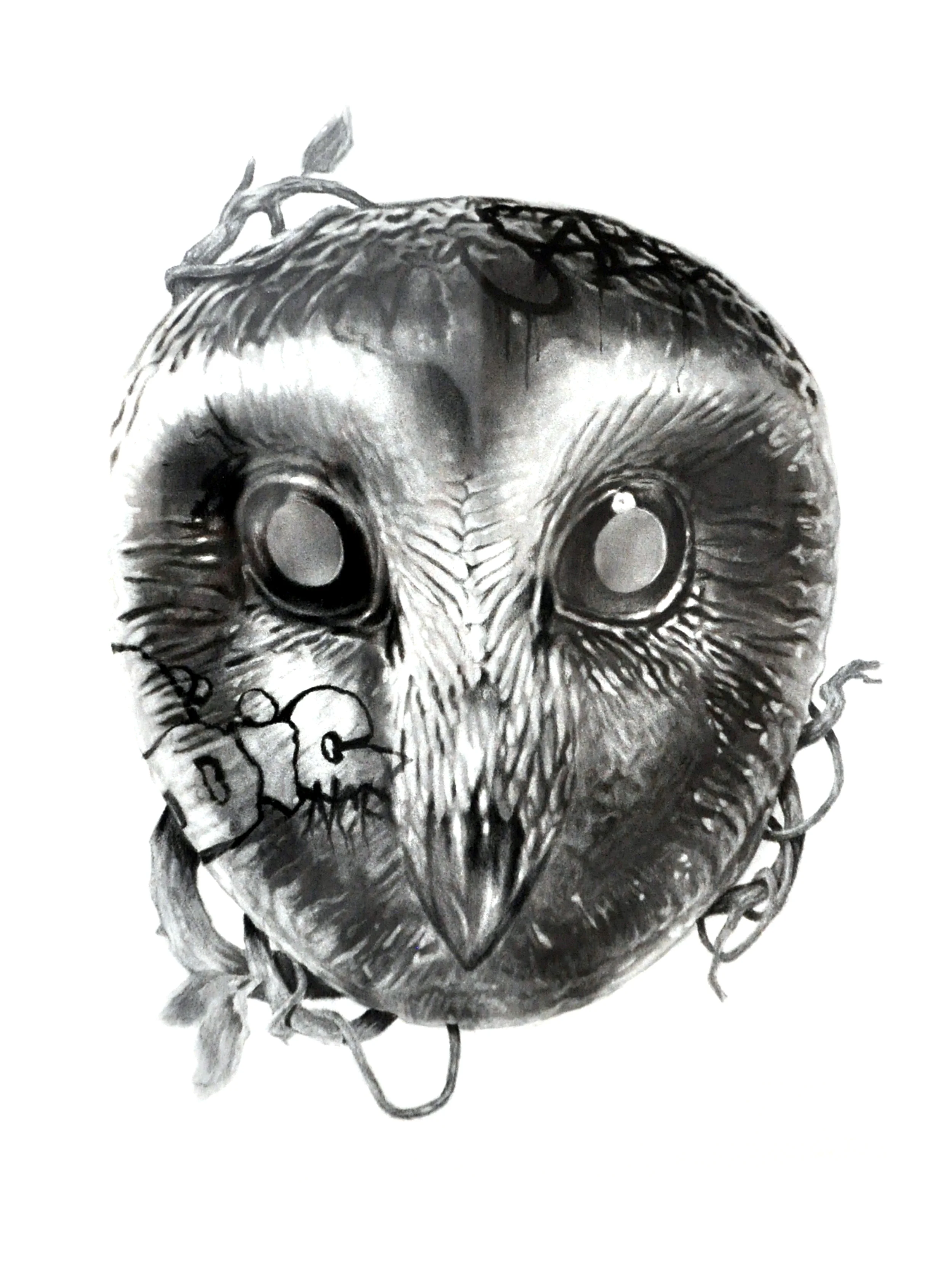 owl-lrg.jpg