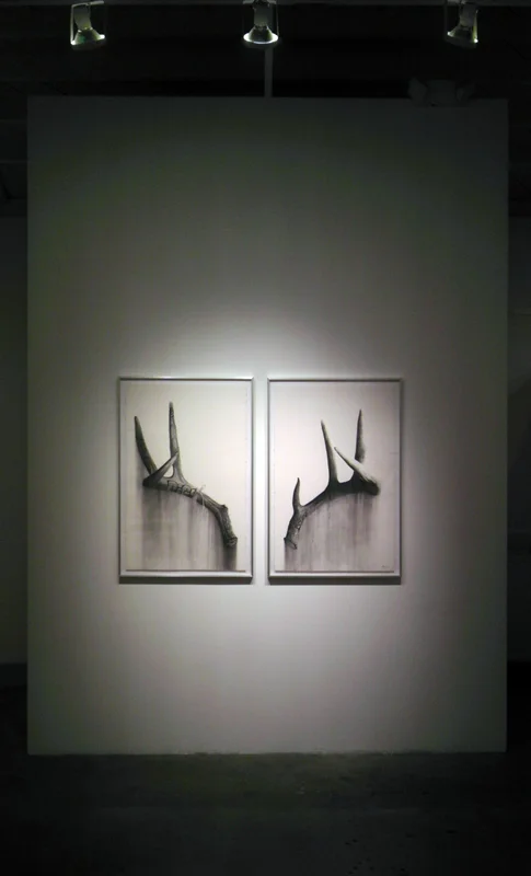hanging antlers-web.jpg