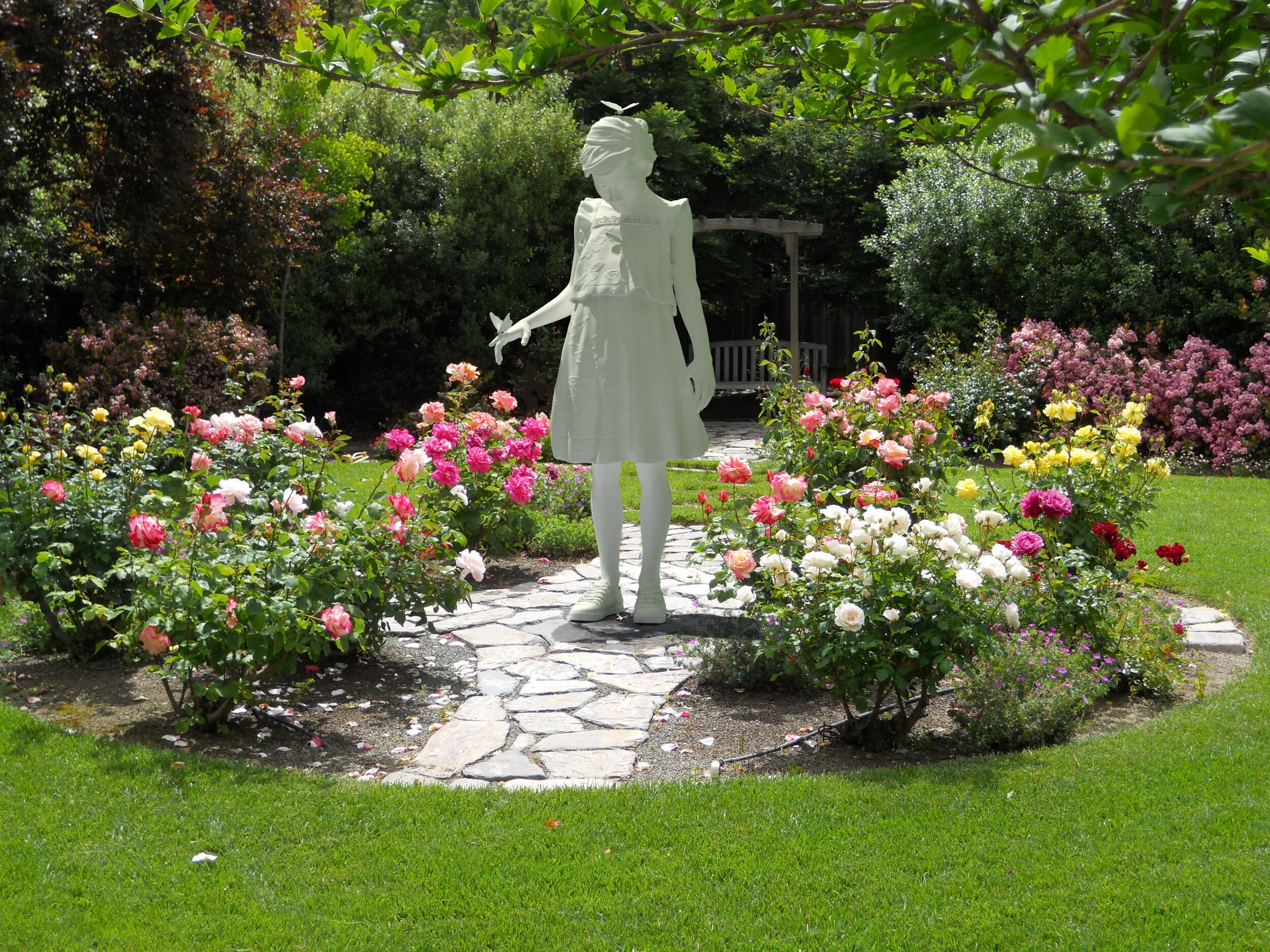garden.jpg