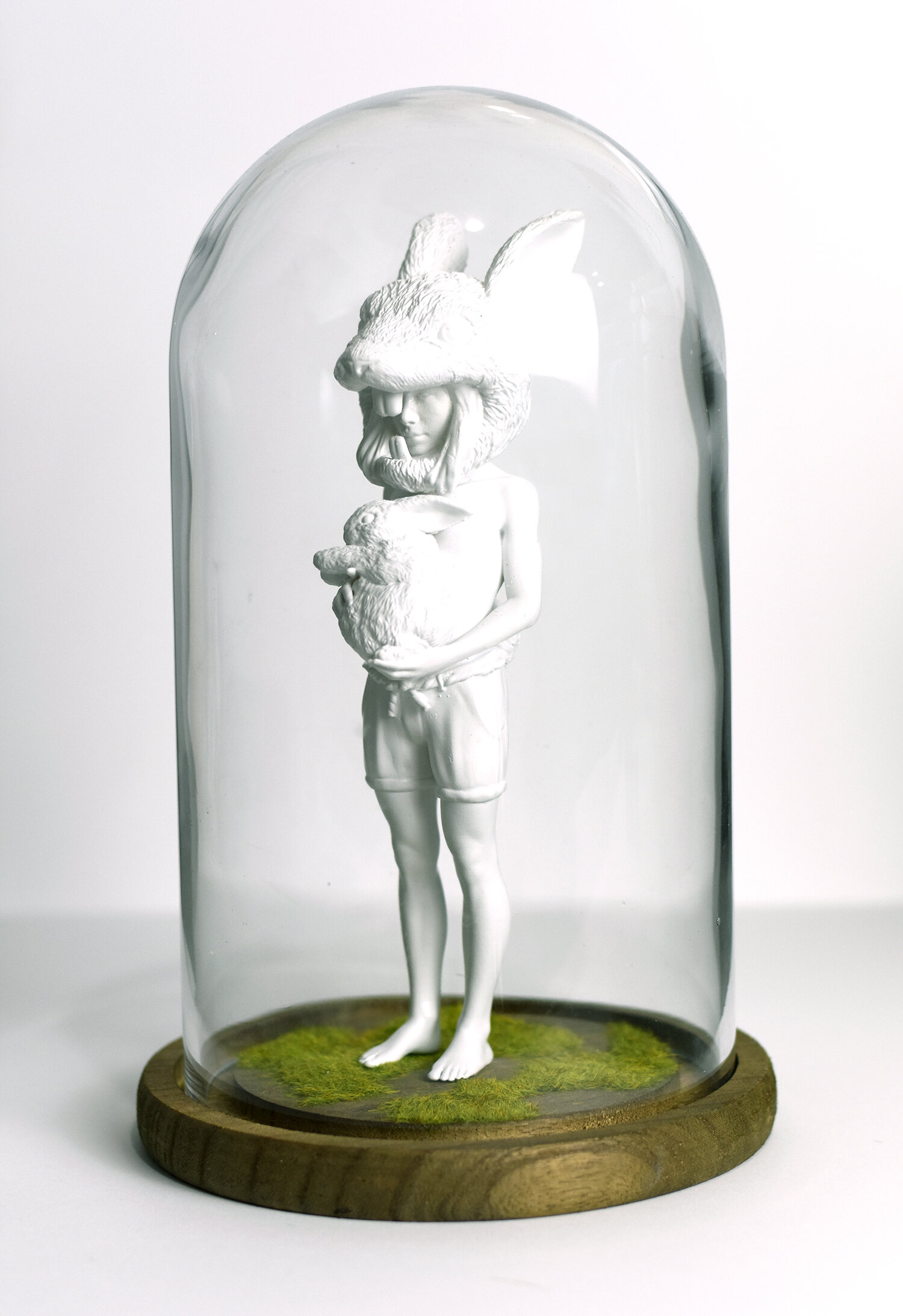 two rabbits in display case