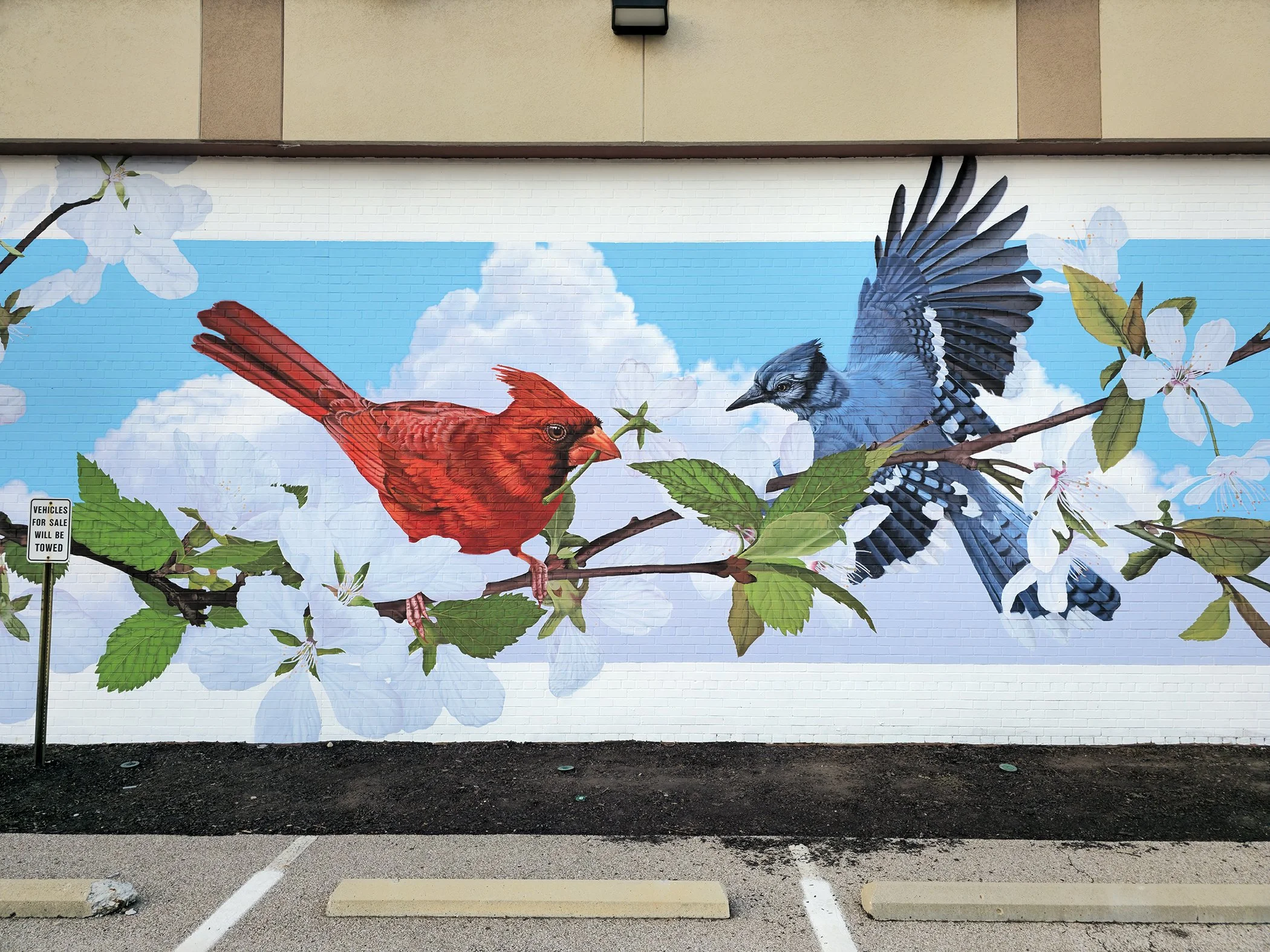 Cherry Grove - detail