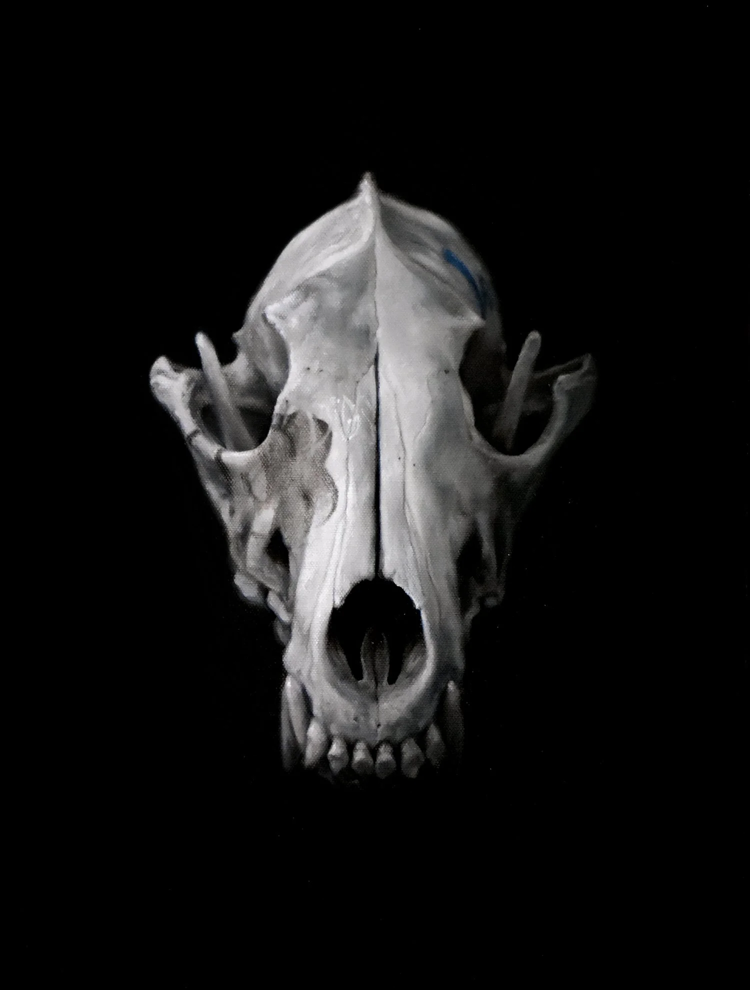 wolfskull.jpg
