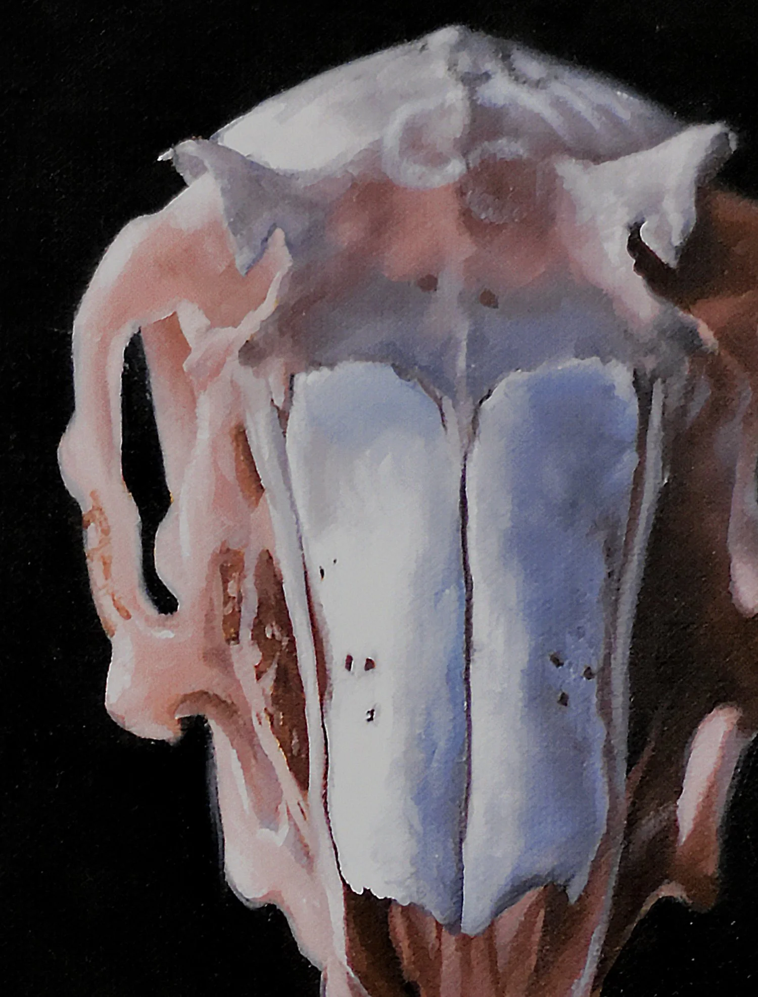 Rabbit-detail2.jpg