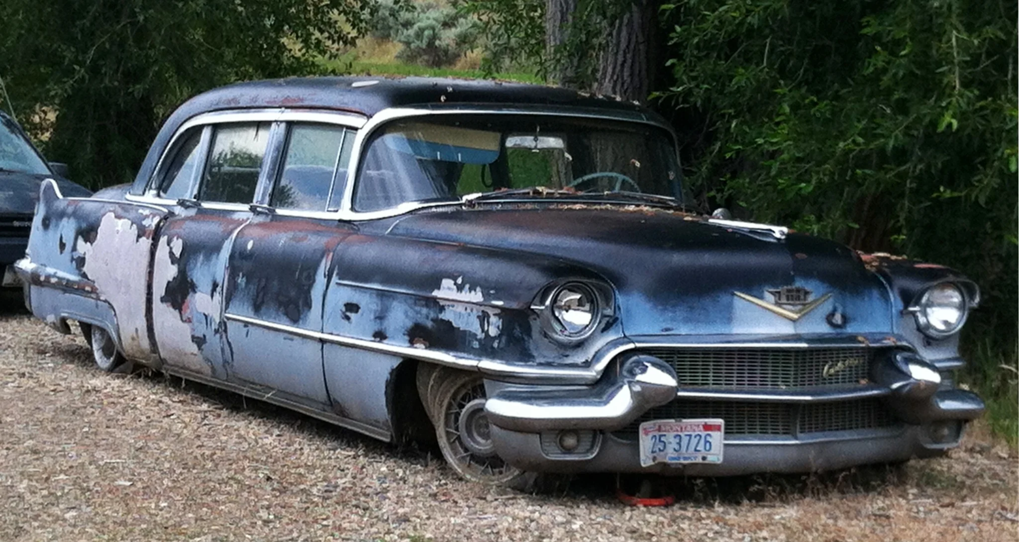 carphoto.JPG