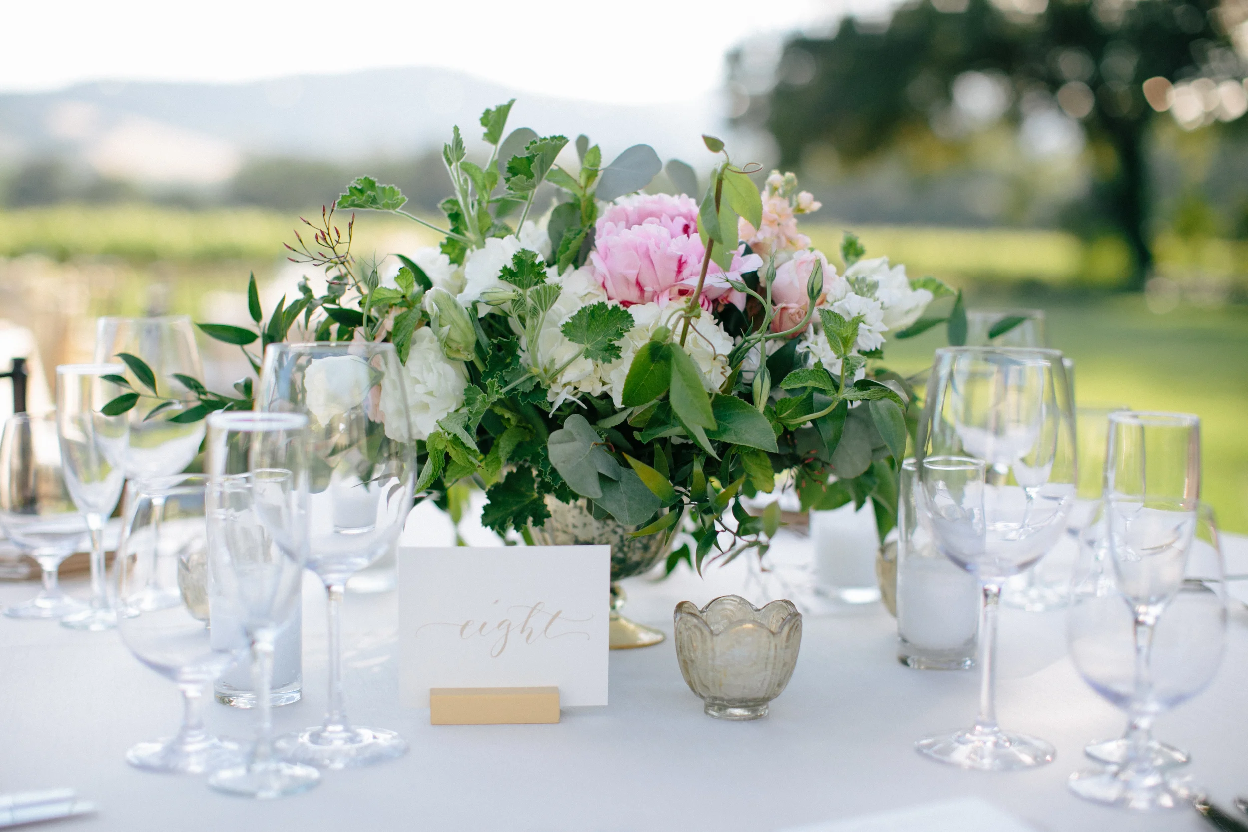 WhitneyNelson_VineyardBlush.jpg