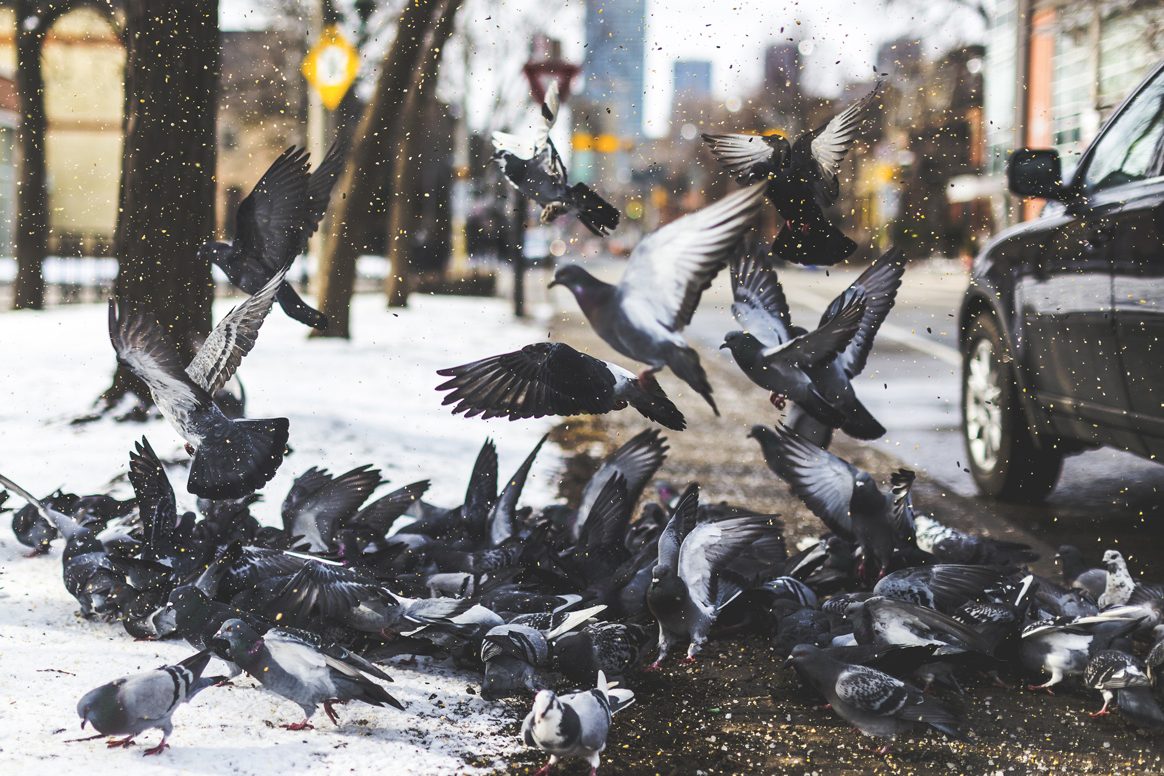 f/1.8, 1/4000s, ISO 200 