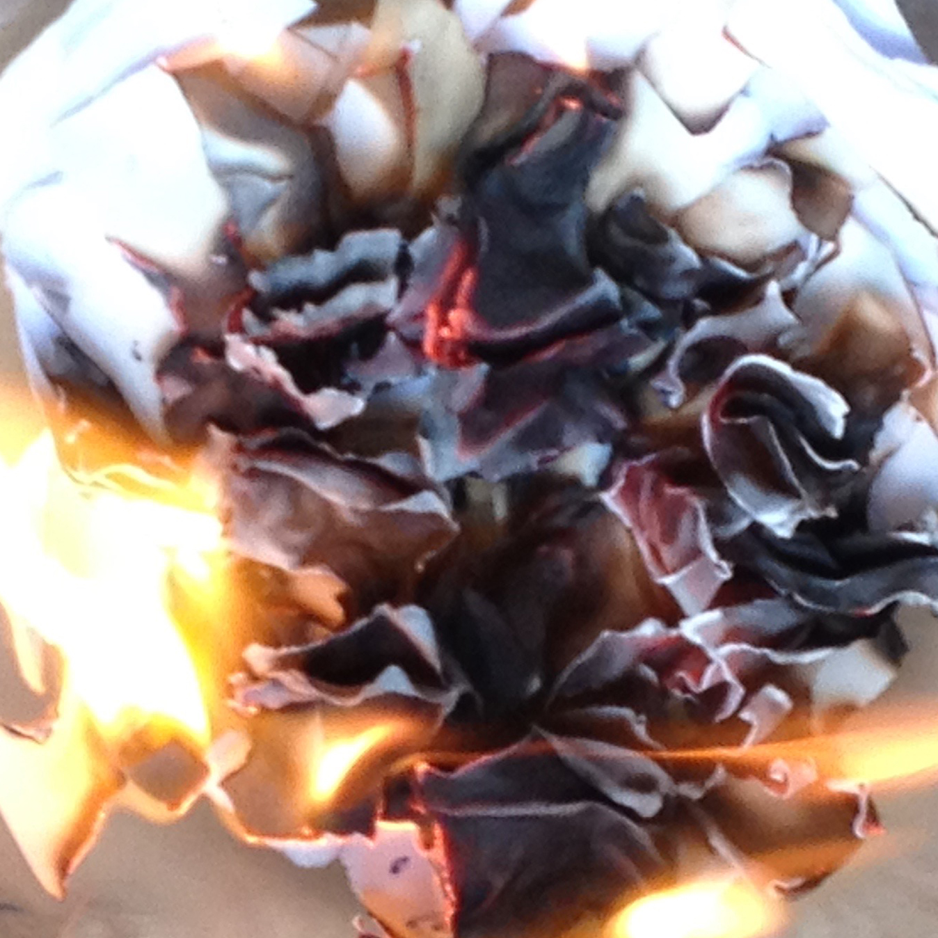 ...or burn?