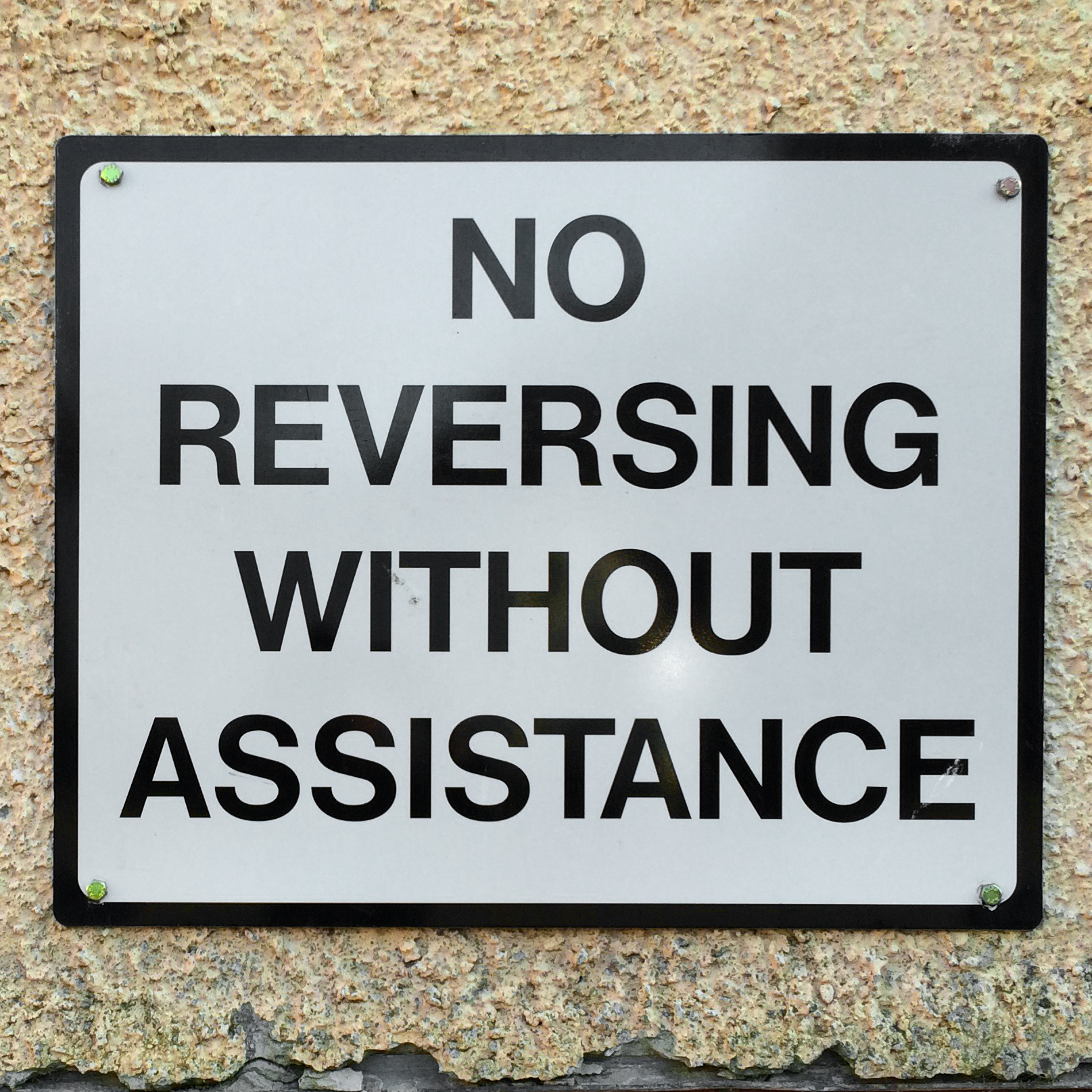 in every mundane, the strange