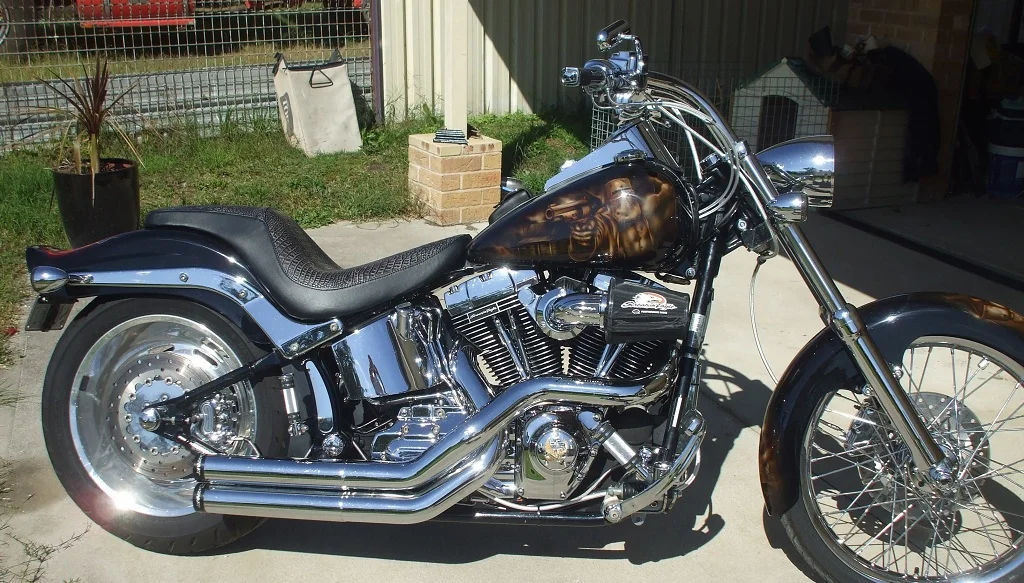 softail 110 custom 002.JPG