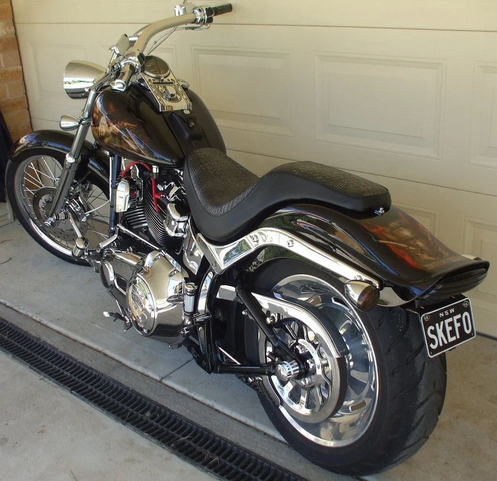 softail 110 custom 010.JPG