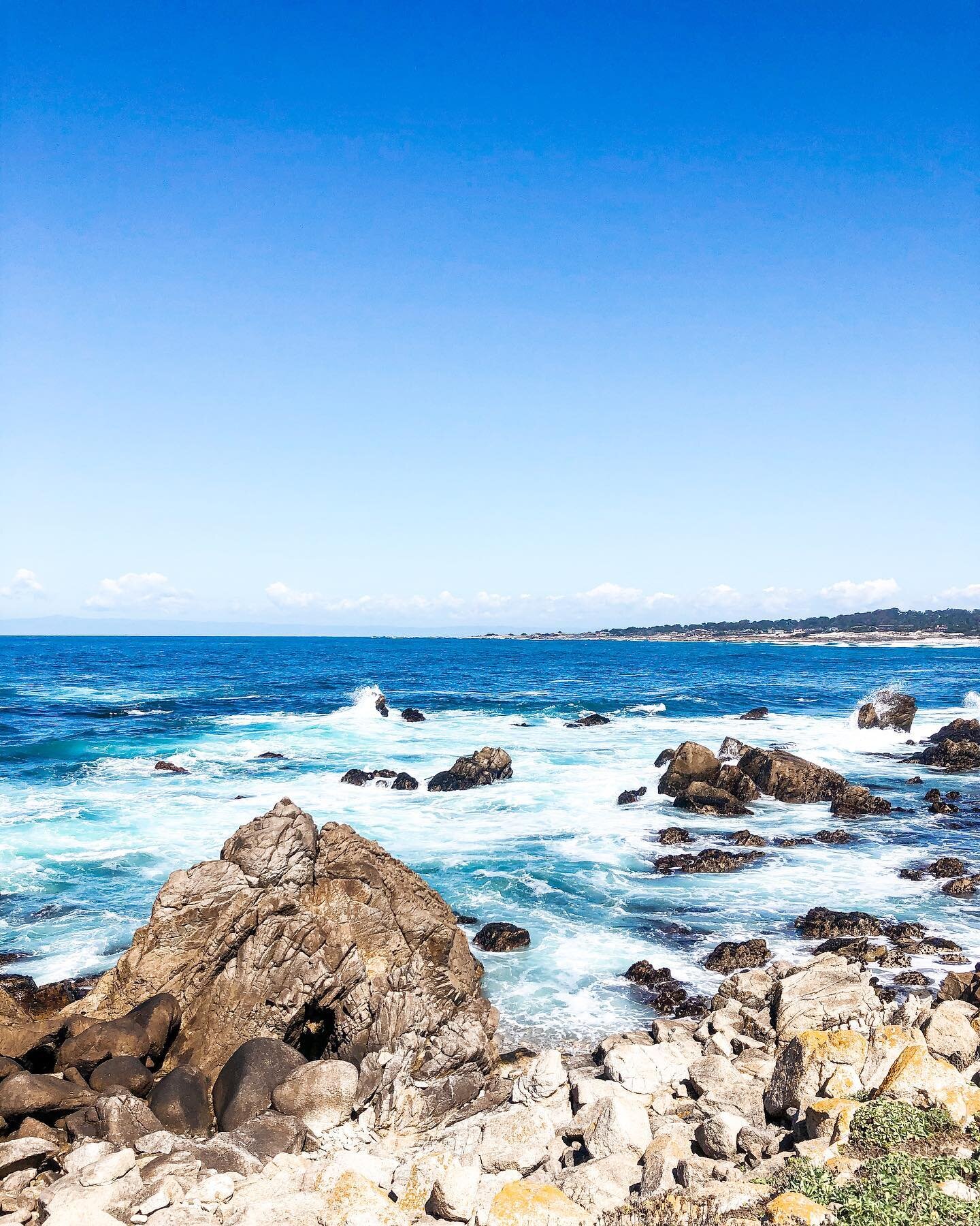 We explored the 17 mile drive today and were blown away by the sites!! The most epic teal blue waters, super interesting history stories from the area, sun bathing seals and their pups and the cool Lone Pine. We finished our drive with lunch at the u