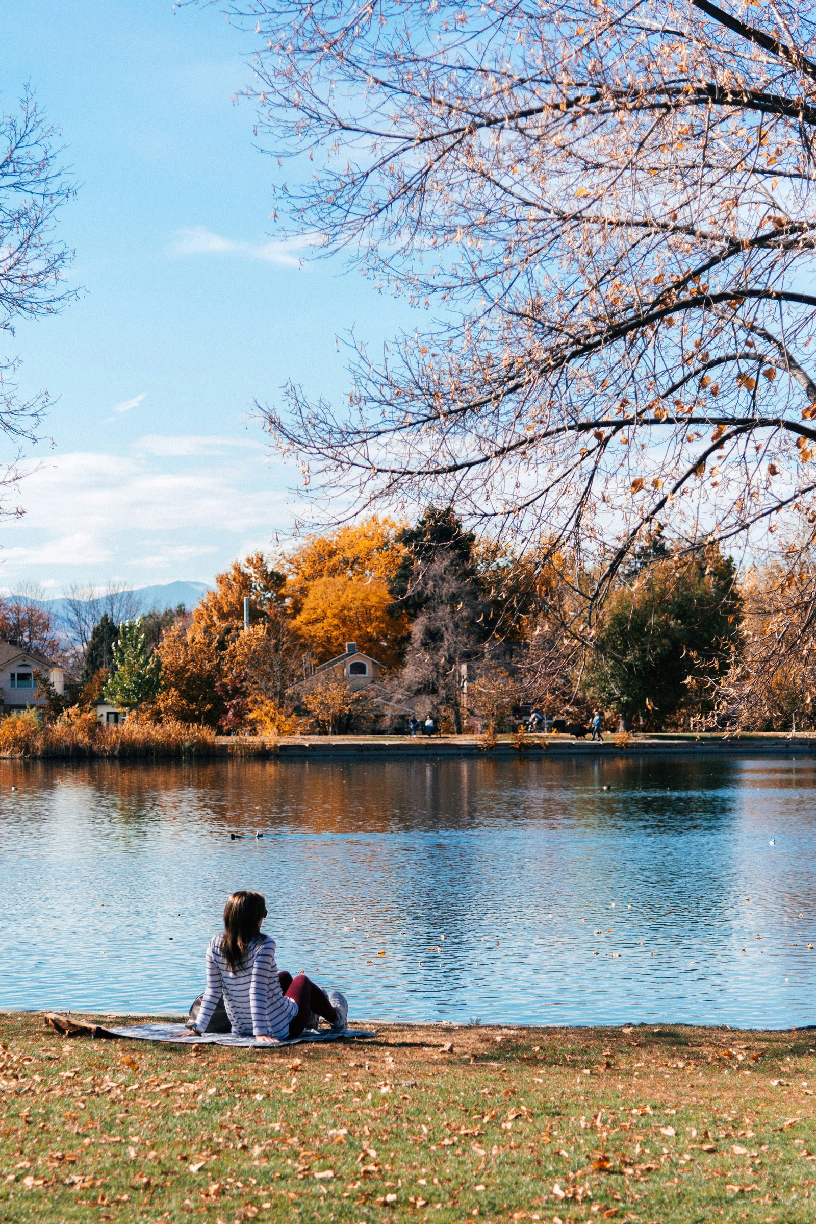 Custom Homes Near Wash Park