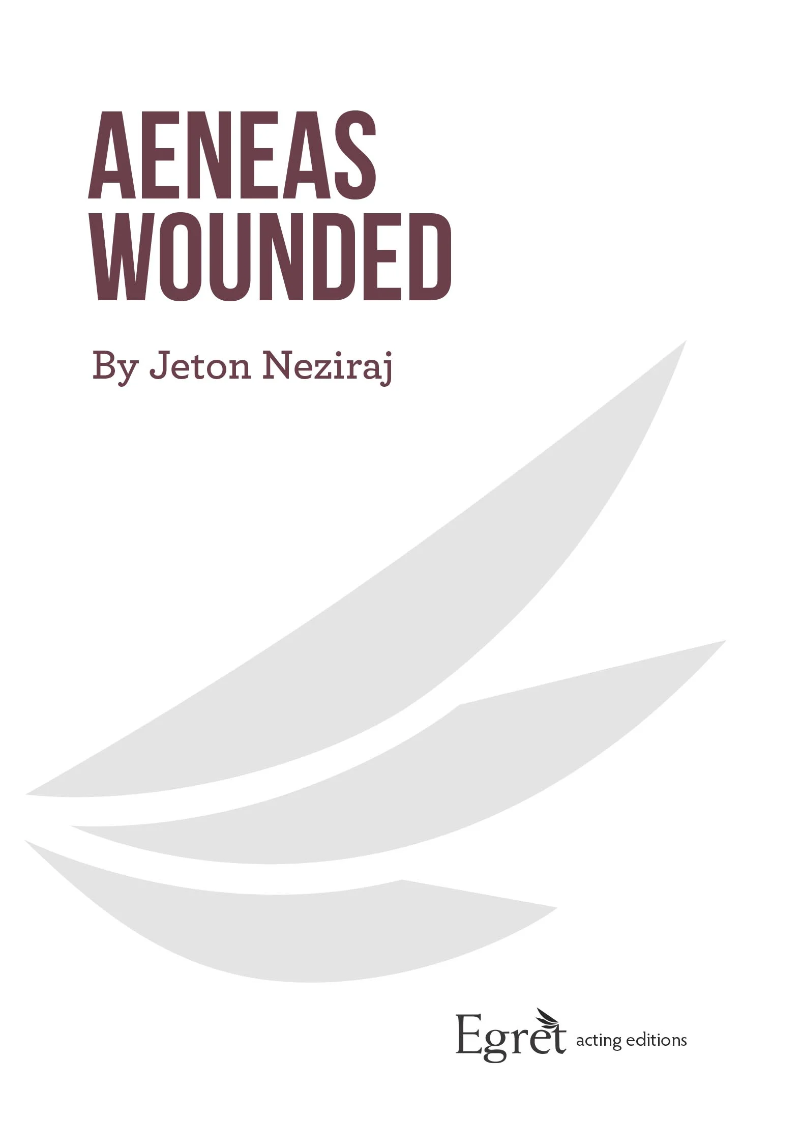 Translated from the Albanian by Blendi Kraja