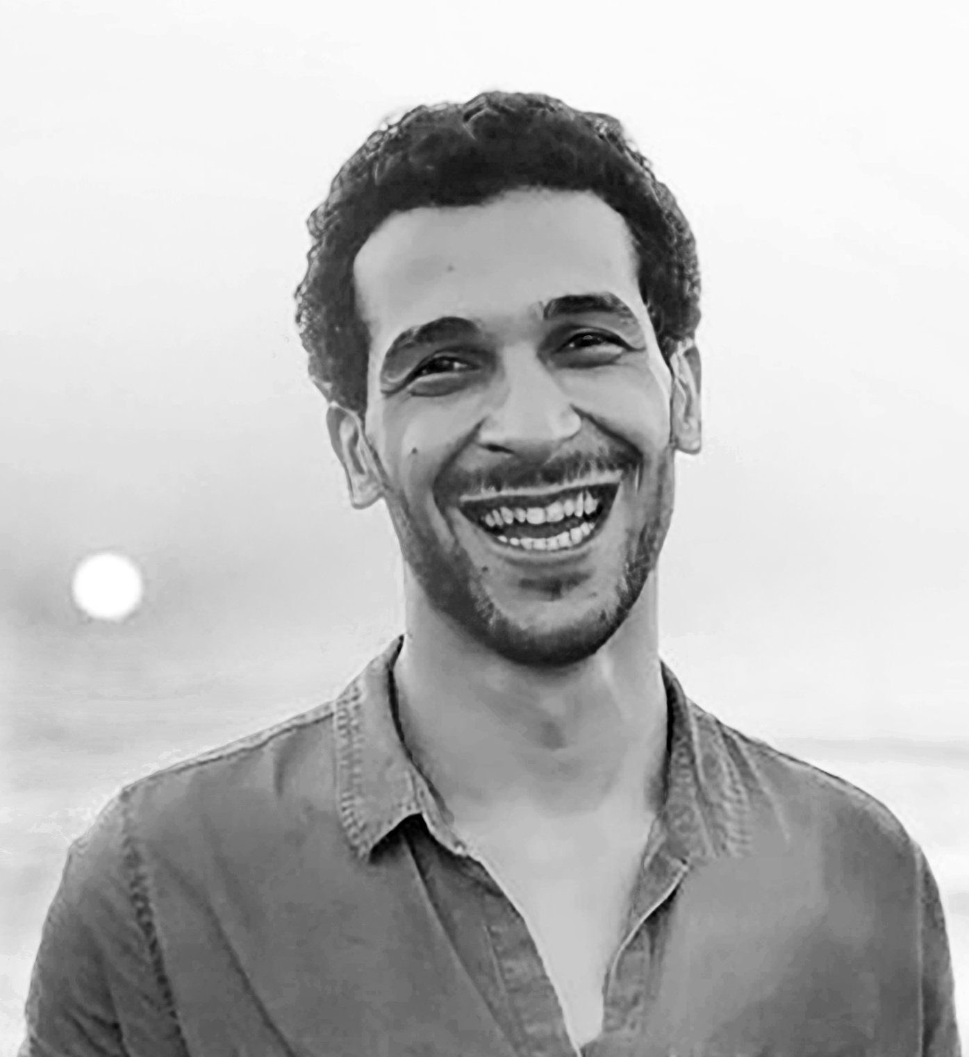 Mohsen Mohamed Bio — Laertes Books