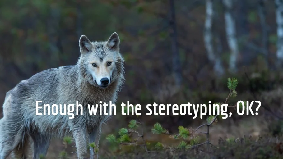 wolf.jpg
