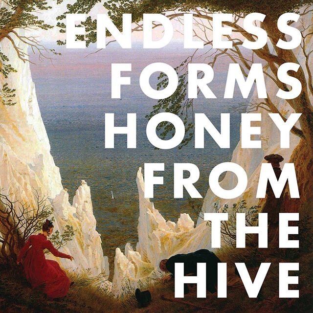 Listen to new single &ldquo;Honey from the Hive&rdquo; now. Link in bio.

My new single &ldquo;Honey from the Hive&rdquo; is a song searching for something. It&rsquo;s searching for transcendence. Searching for purity. Searching for anything. It&rsqu