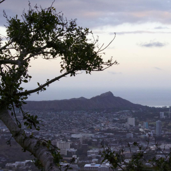 Diamond Head