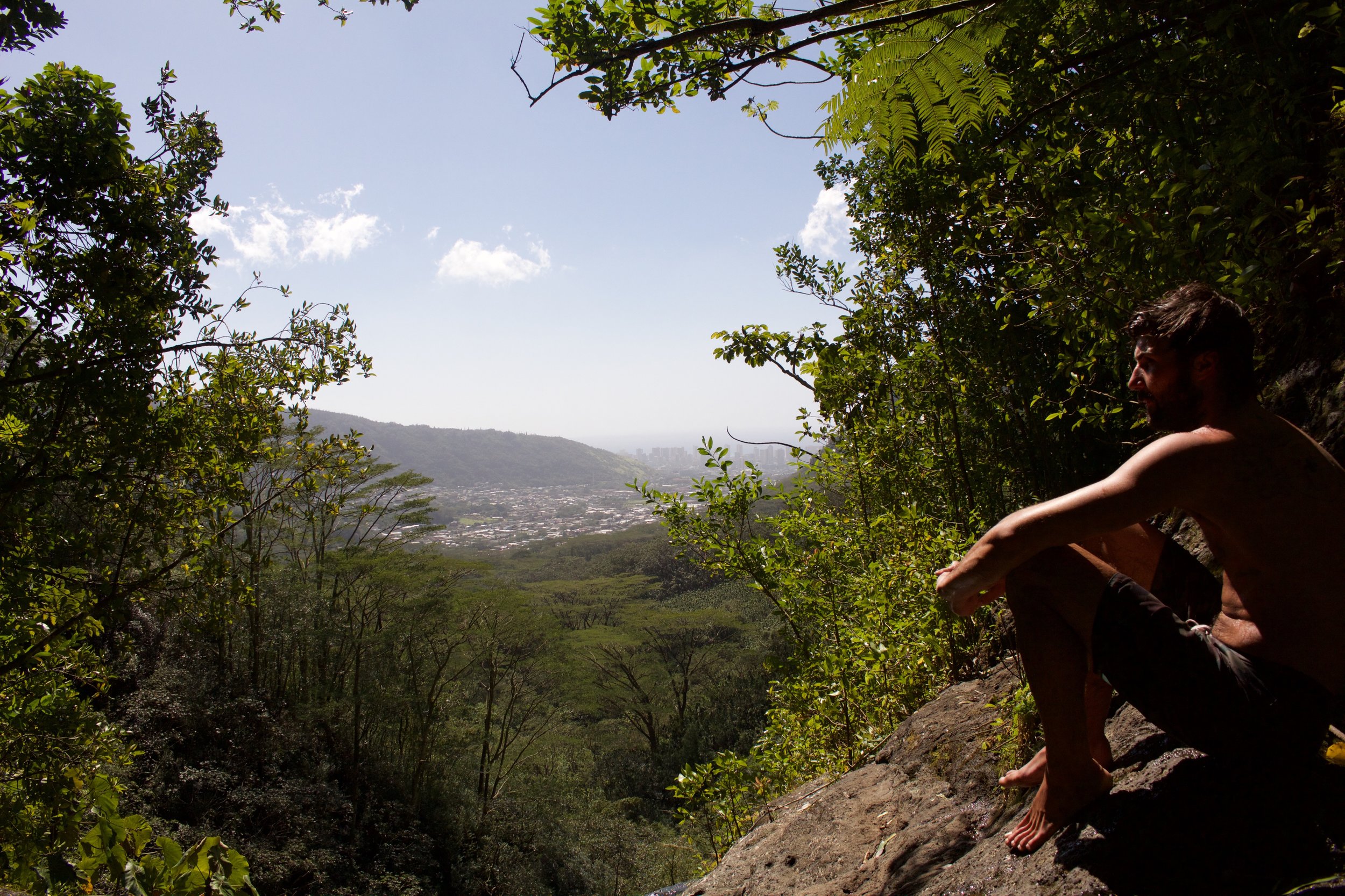 Manoa Falls Trail