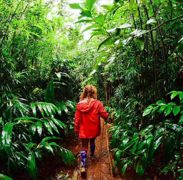 Lulumahu Falls Hike