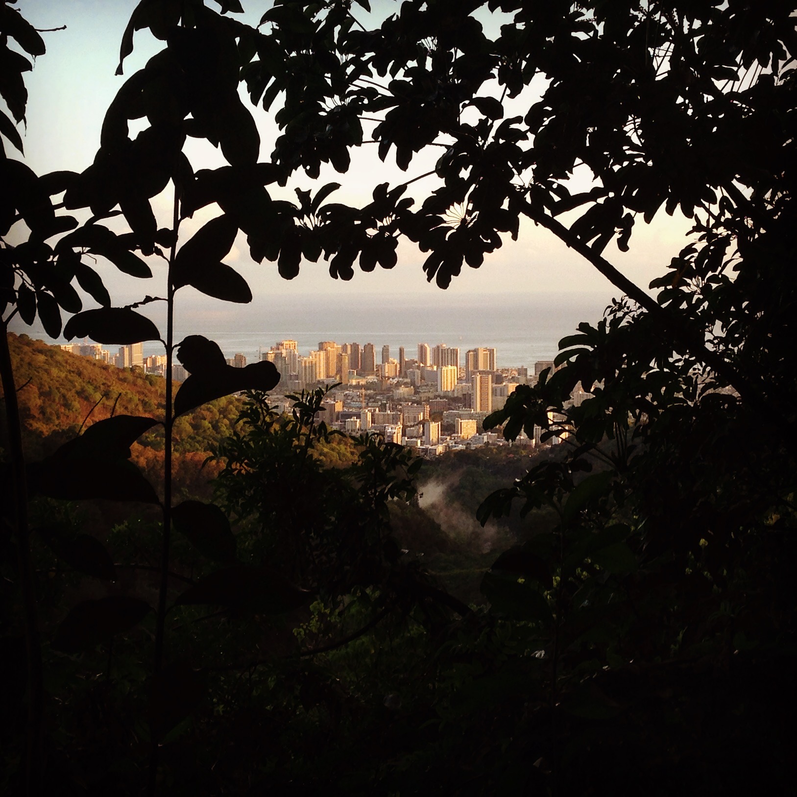 Makiki Valley Trail