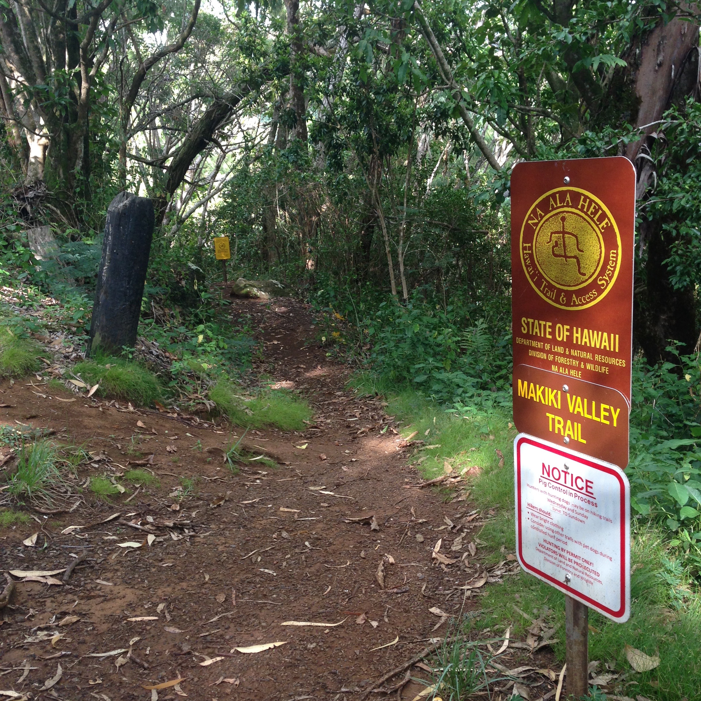 Makiki Valley Loop