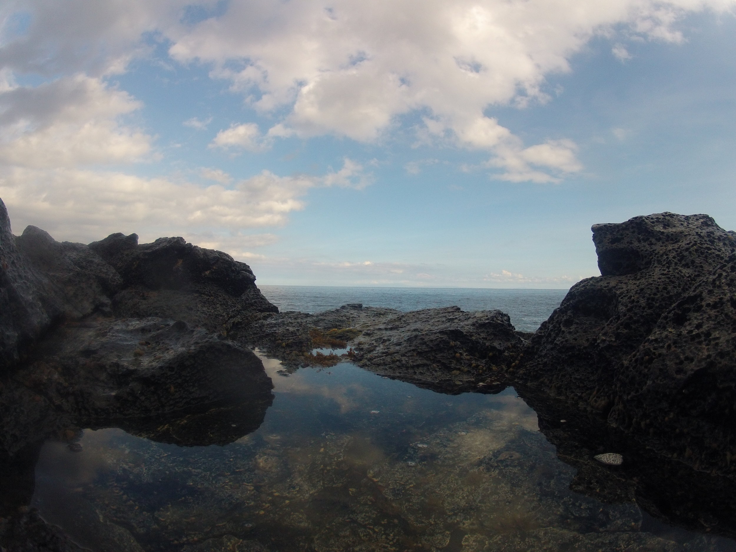 Makapu'u Tidepools