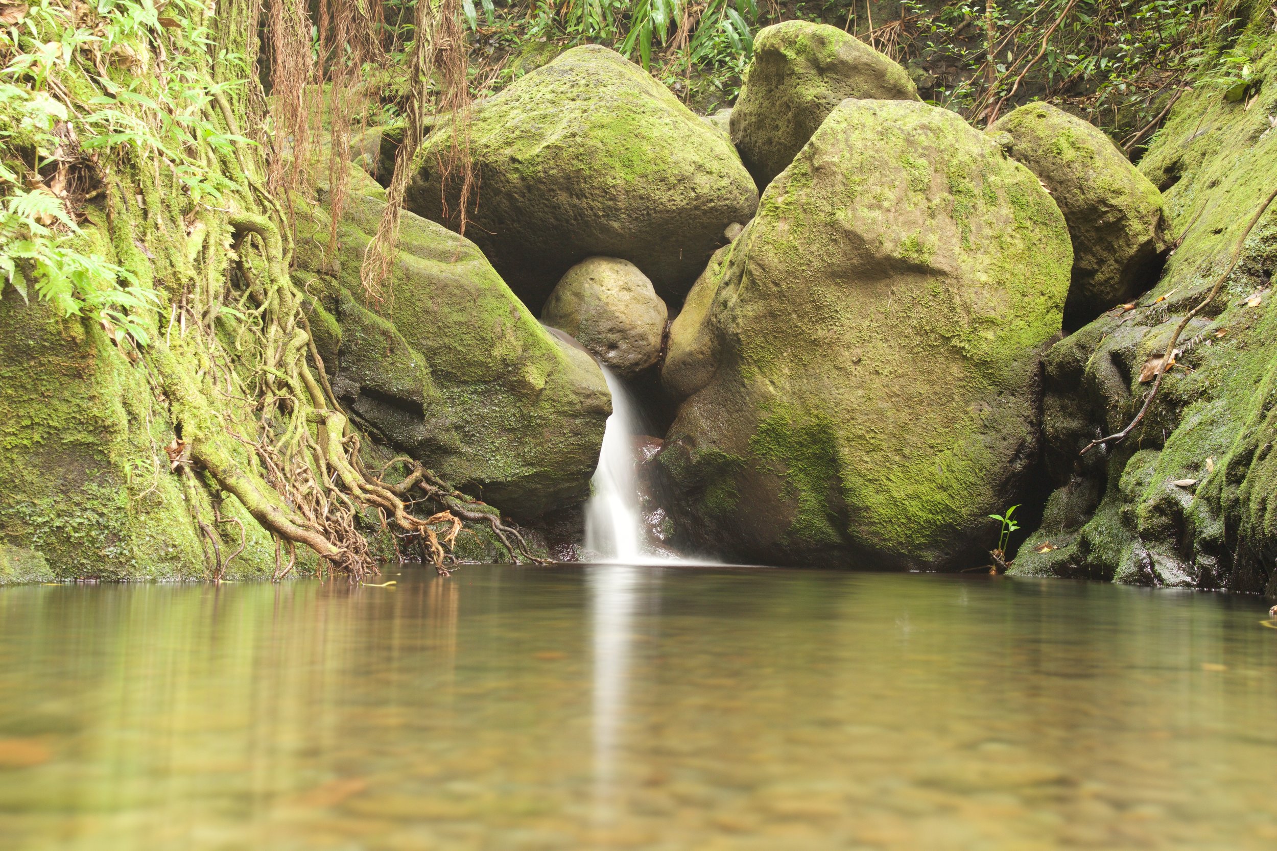 Waiakekua Falls