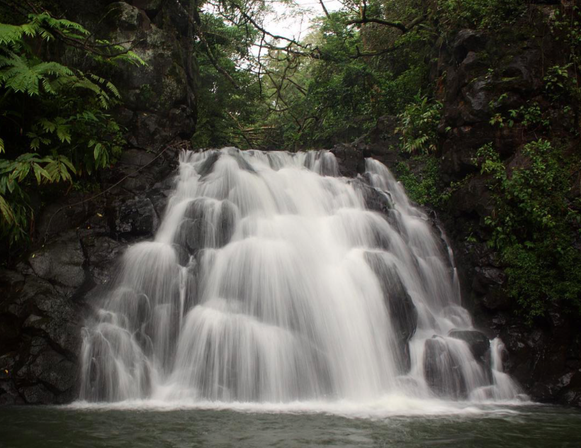 Kalihi Ice Ponds