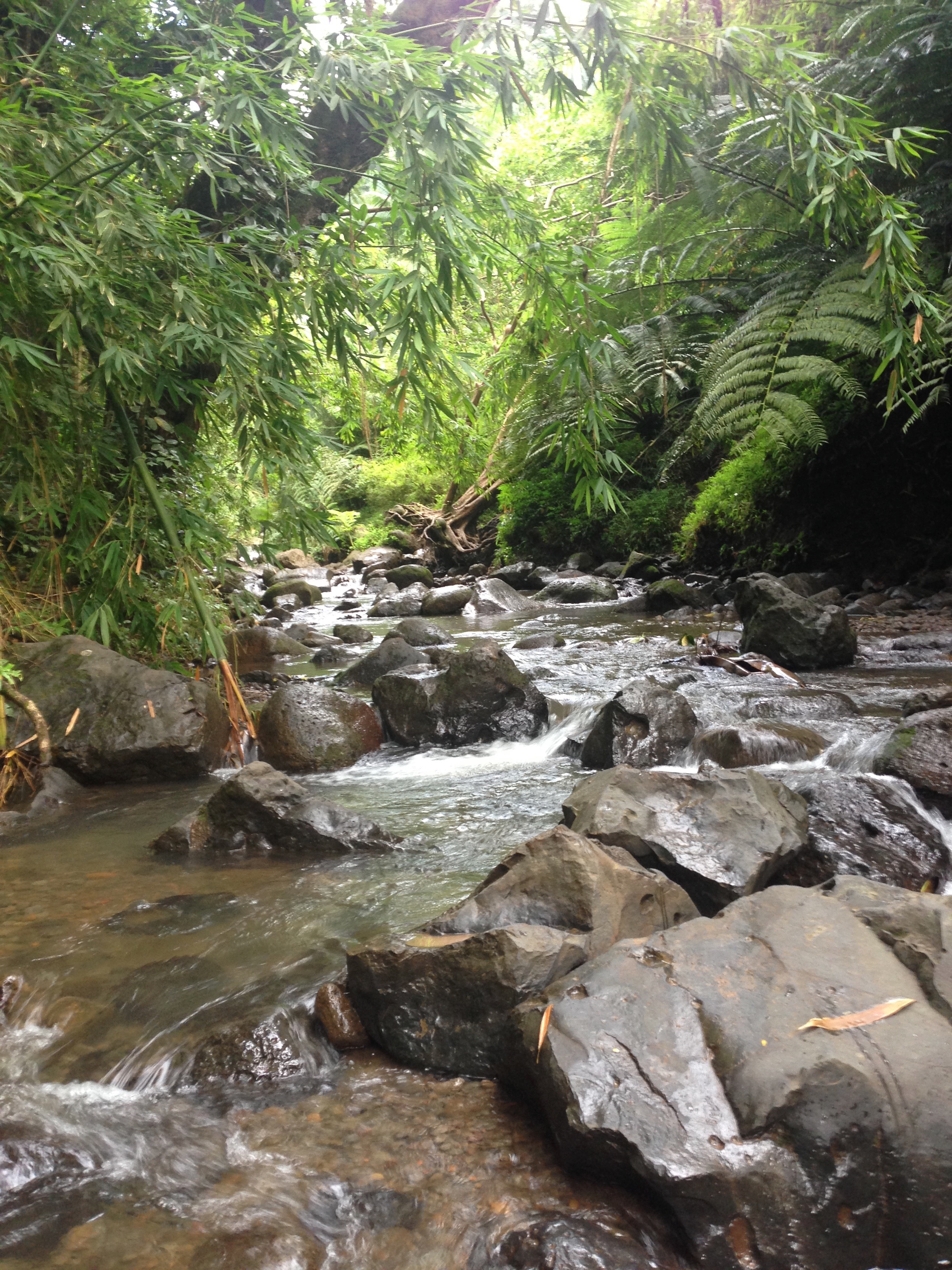 Hiking Maunawili Falls