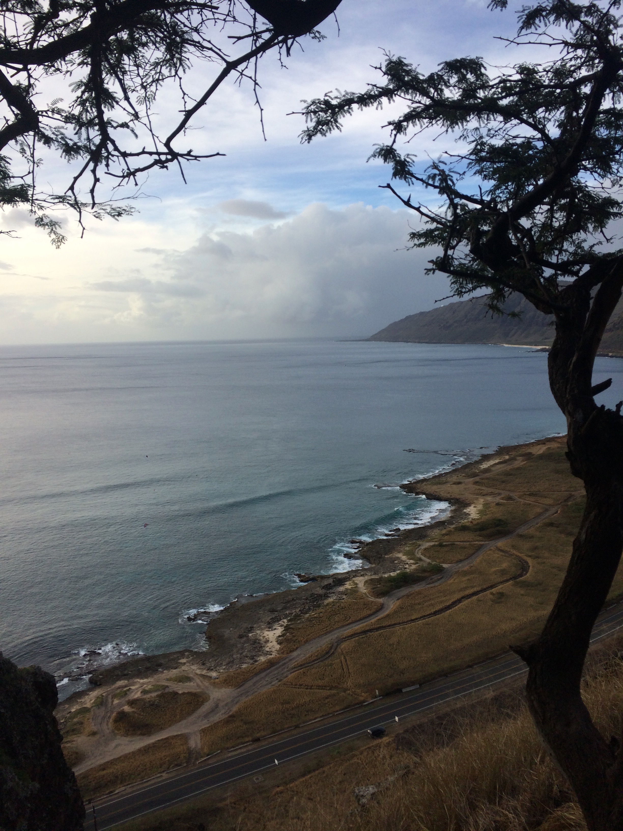 Makua Cave Hiking Oahu