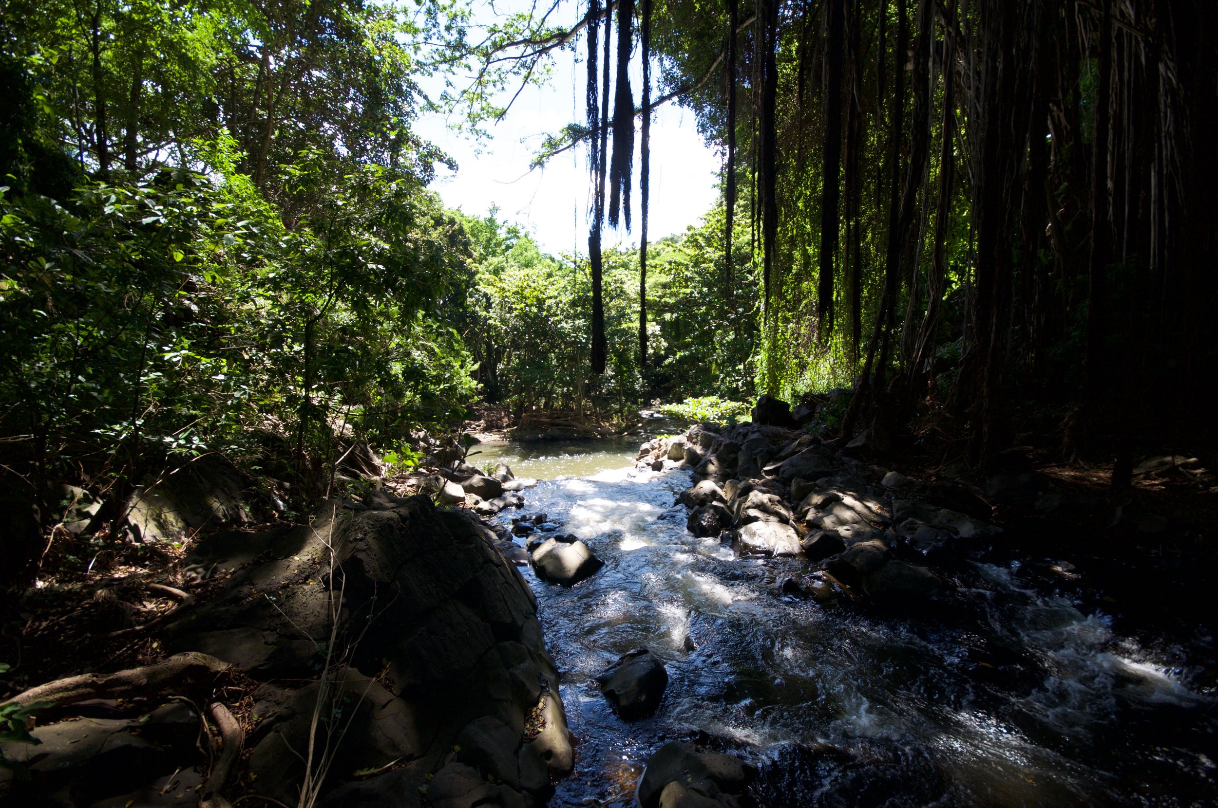 Kapena Falls Hike